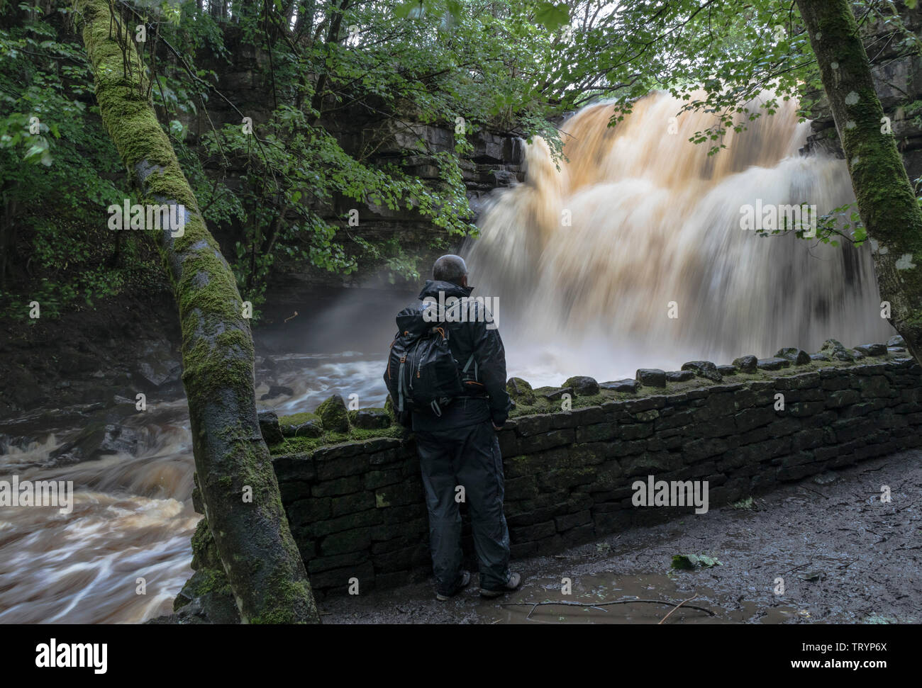 Summerhill, Force, de Teesdale County Durham, Royaume-Uni. 13 juin 2019. Météo britannique. Avec un jaune d'avertissement météorologiques en vigueur, plus de tonnerres crue Summerhill vigueur que heavy rain balaie le nord-est de l'Angleterre. Summerhill est une cascade de la Force populaire pour les touristes et les promeneurs à visiter dans la région de Teesdale. Crédit : David Forster/Alamy Live News Banque D'Images