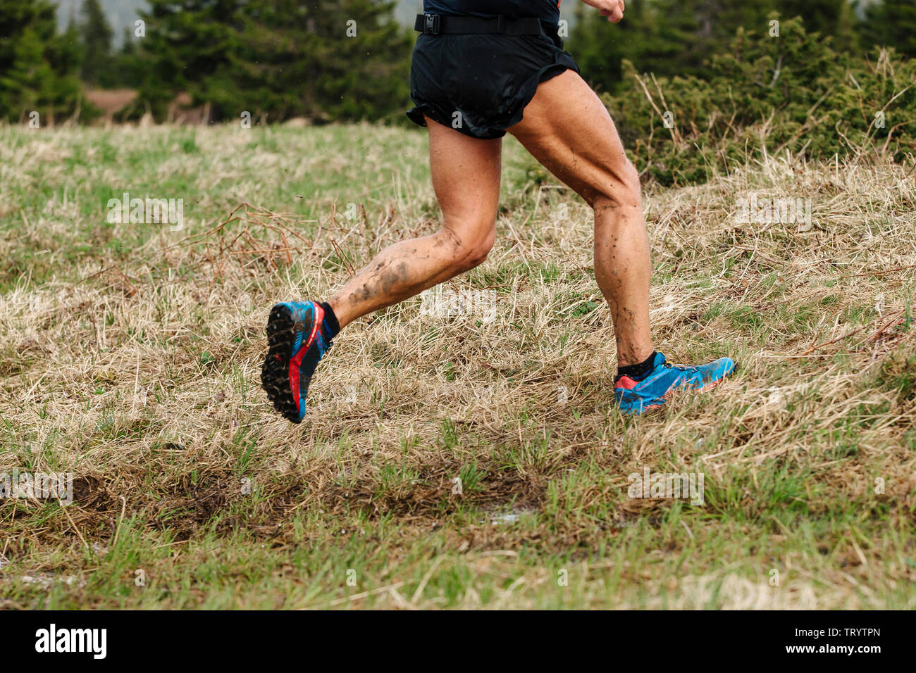 Homme jambes runner course cross-country plus d'herbe séchée Banque D'Images Homme jambes runner course cross-country plus d'herbe séchée Banque D'Images