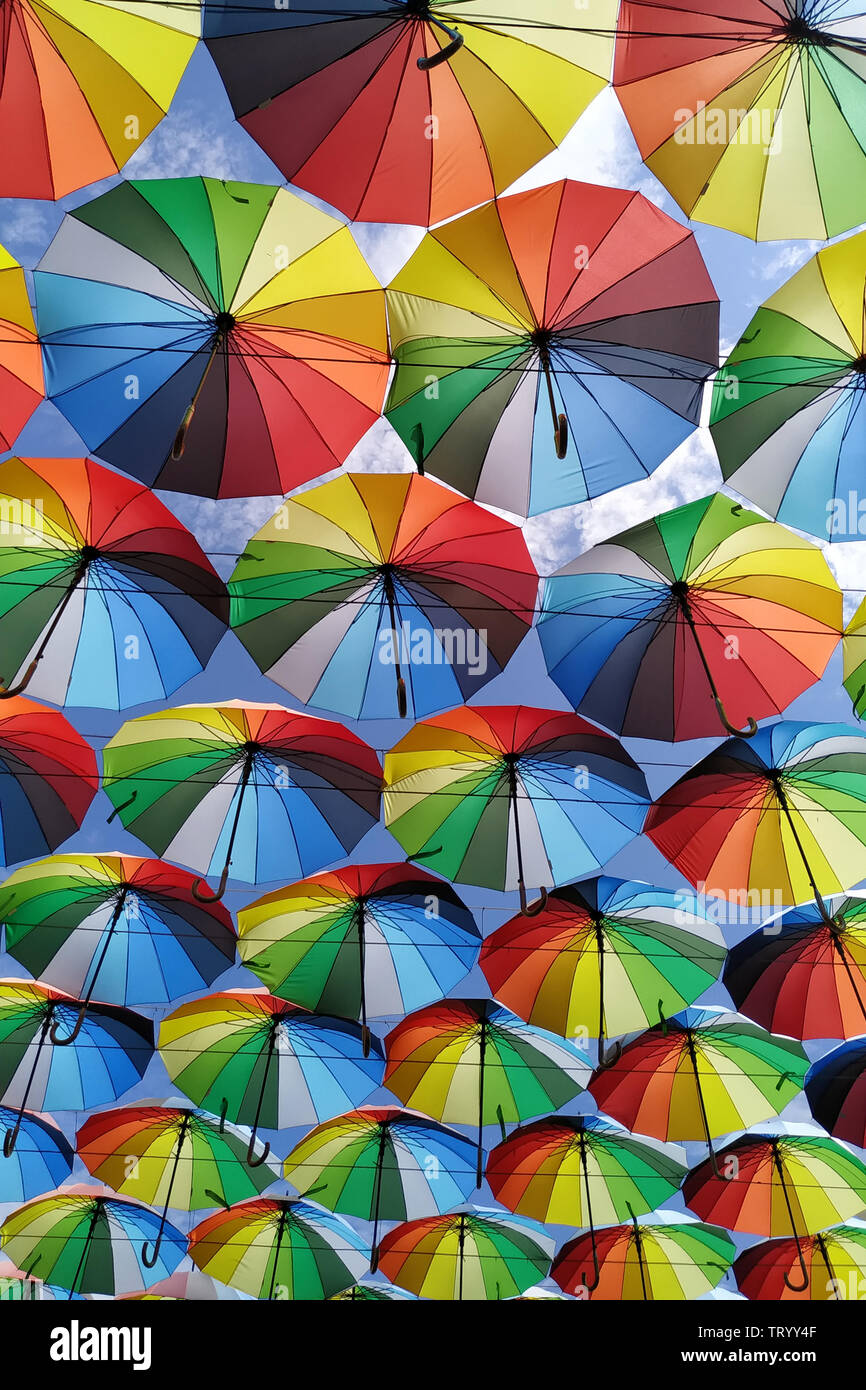 Couleur Parasol Viter