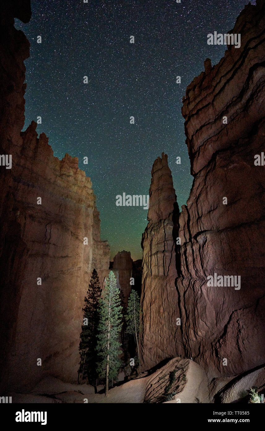 Photo de nuit dans le Parc National de Bryce Canyon avec voie lactée, Utah, USA, Amérique du Nord Banque D'Images