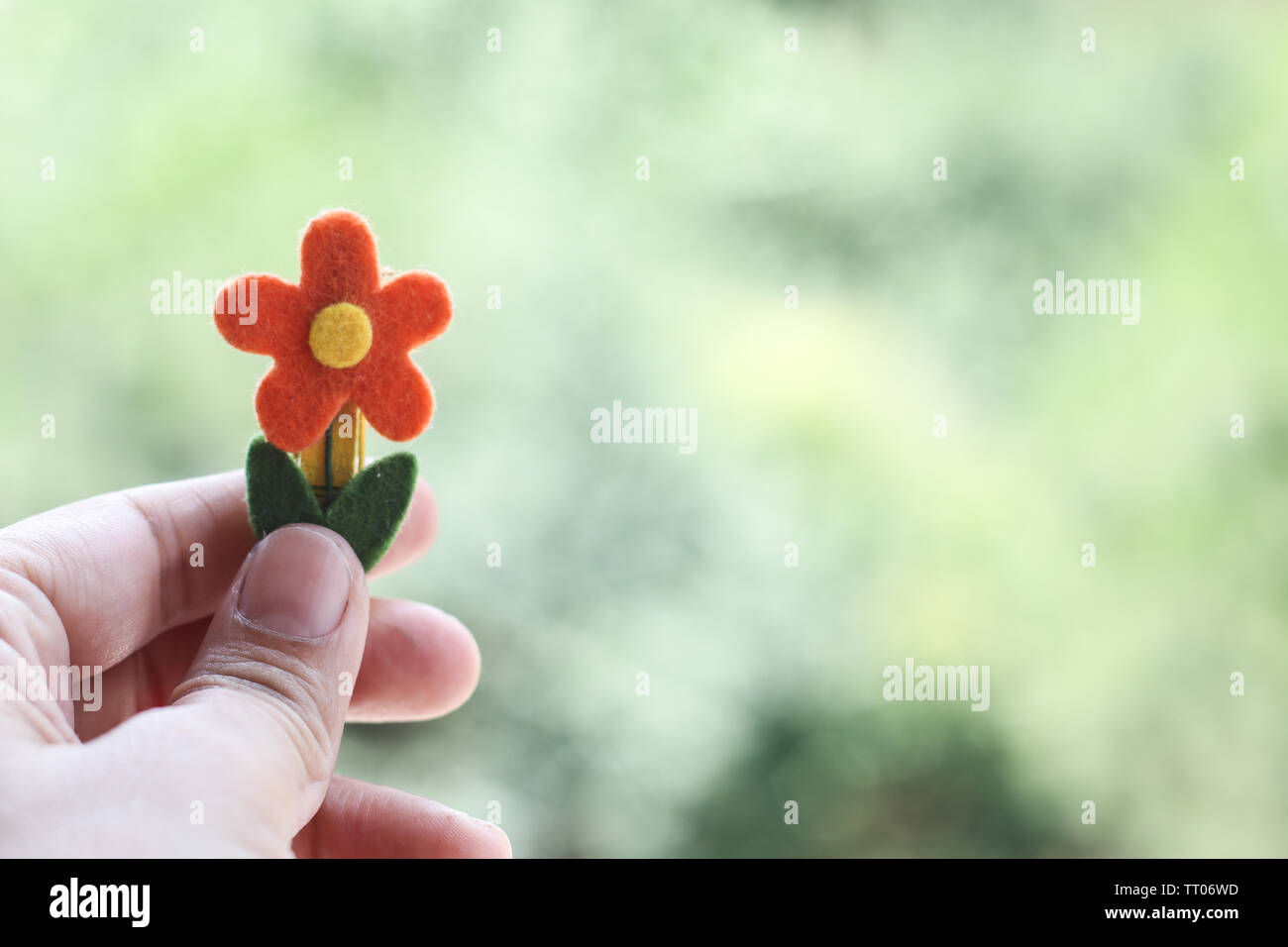 Hand holding flower Banque D'Images