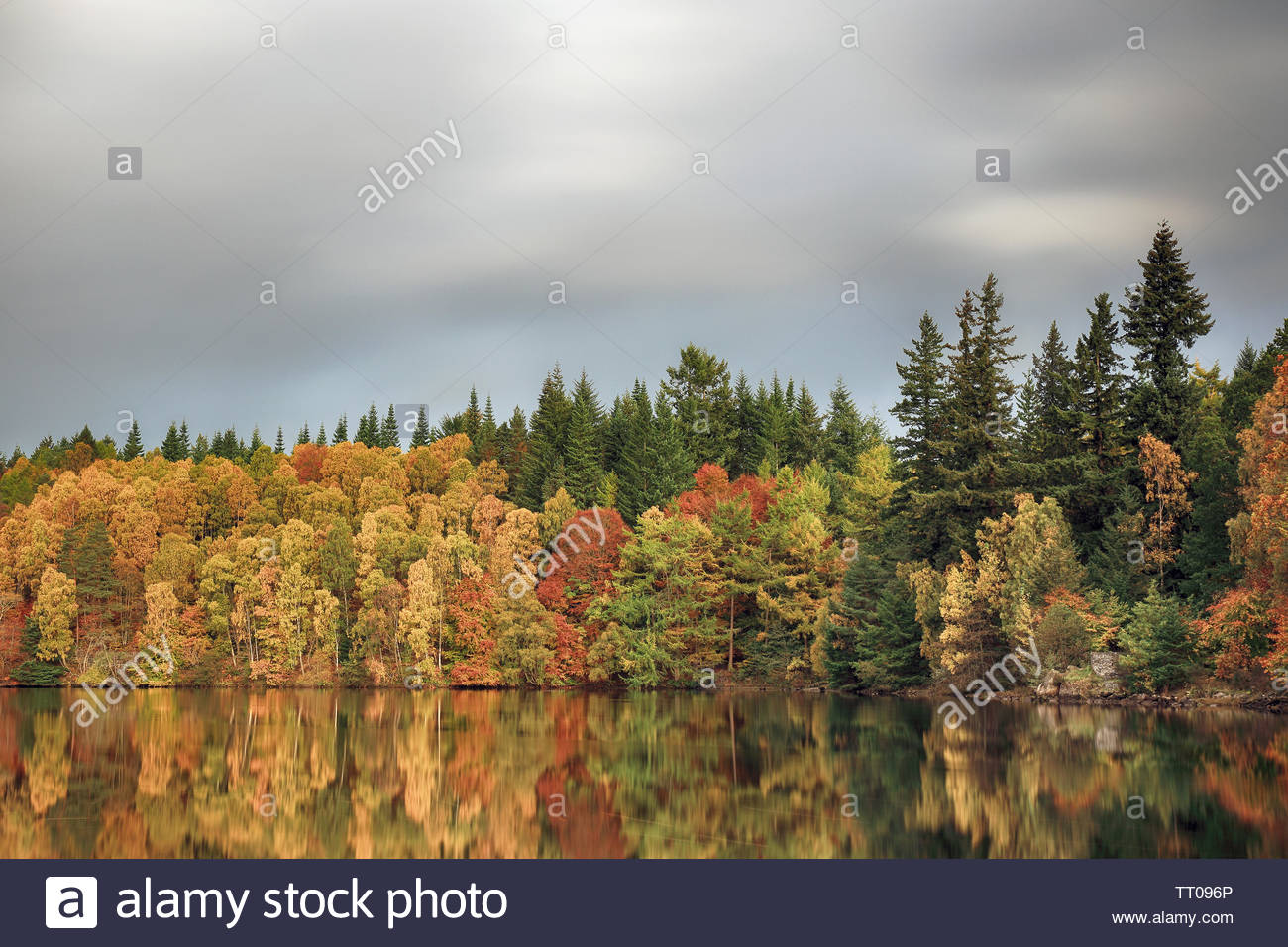 Une longue exposition d'obturation de l'automne coloré arbres se reflétant sur une rivière. Banque D'Images