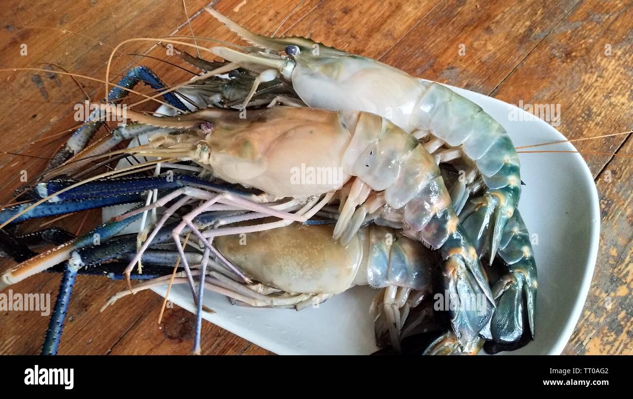 Crevettes rivière fraîche sur plaque blanche. Banque D'Images