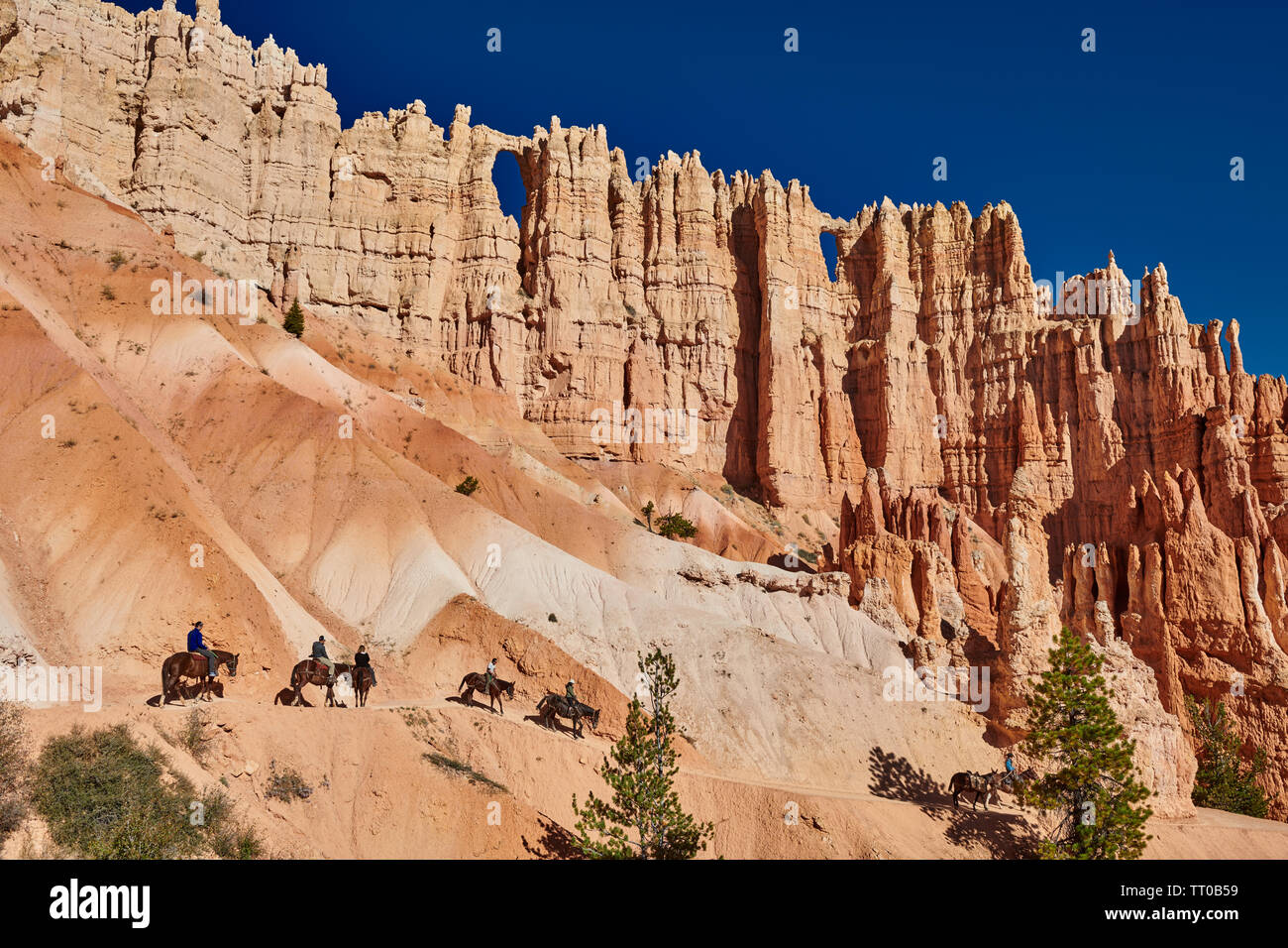 Le Parc National de Bryce Canyon, Peekaboo trail, de l'Utah, USA, Amérique du Nord Banque D'Images