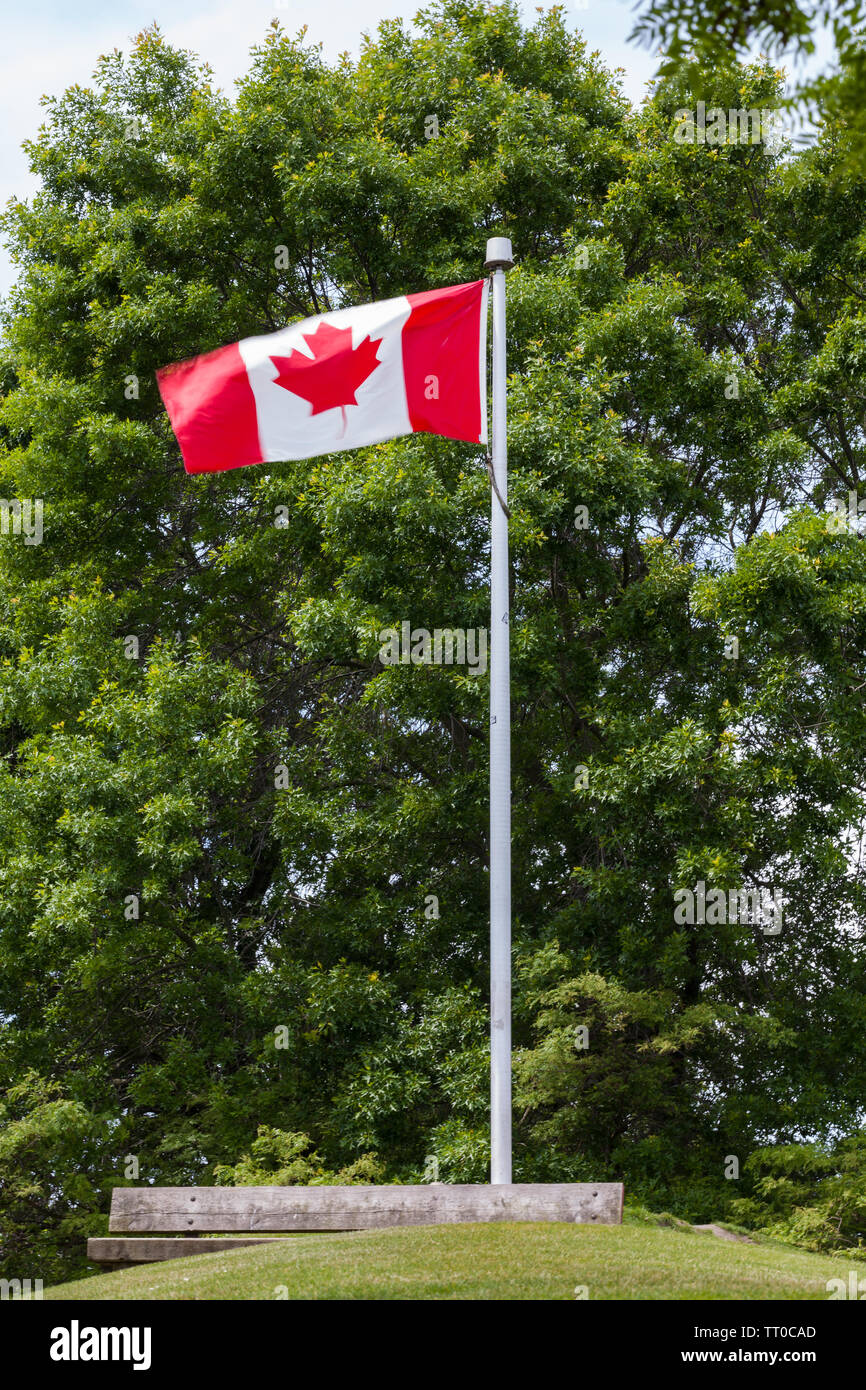 Mât battant pavillon canadien au-dessus de Ron Basford Park sur l'île Granville à Vancouver Canada Banque D'Images