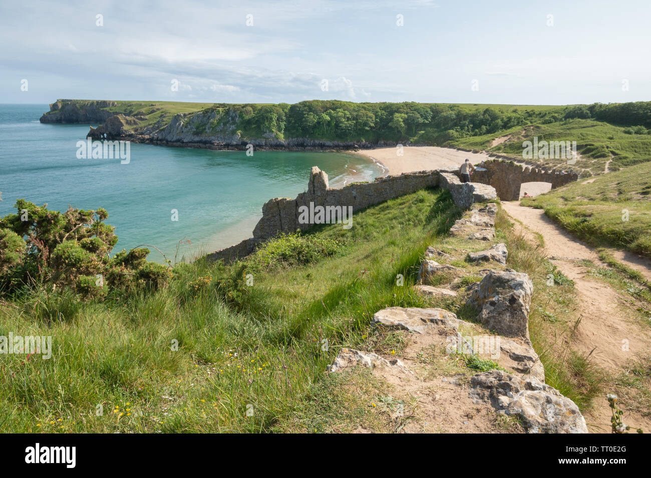 Barafundle Bay, un Gallois à distance une attraction touristique avec plage de sable, à Pembrokeshire, Pays de Galles, Royaume-Uni Banque D'Images