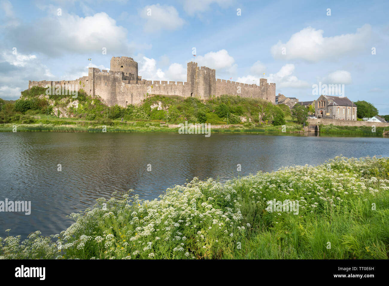 Château de Pembroke avec fleurs sauvages d'été, Pembrokeshire, Pays de Galles Banque D'Images