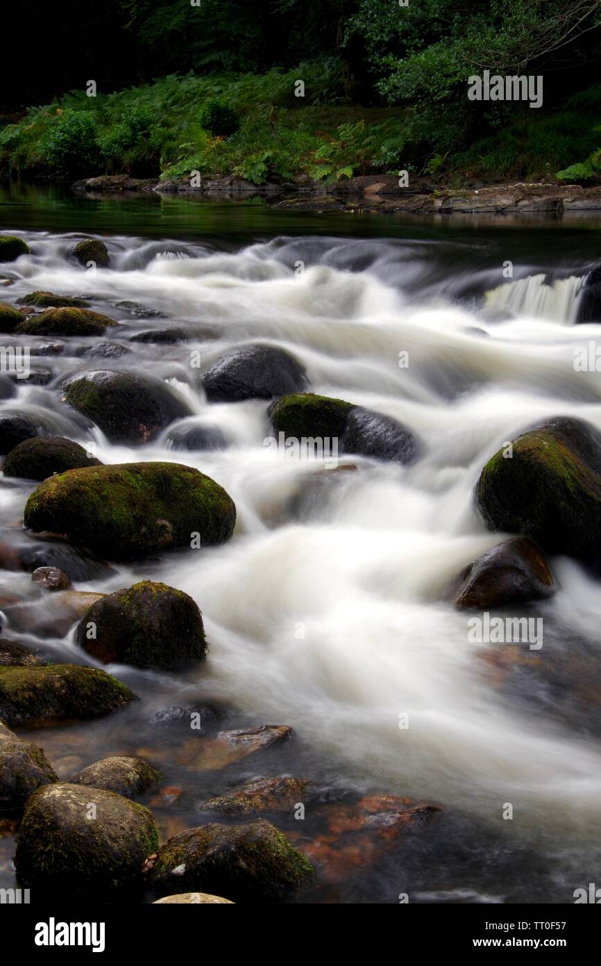 Paysage intime de la rivière Dart sur les rochers de granit en cascade à Rapids dans Holne Bois. Dartmoor National Park, Devon, UK. Banque D'Images