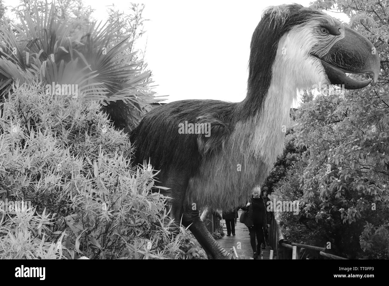 Prédateurs redoutables d'une première mondiale au Zoo de Chester Banque D'Images