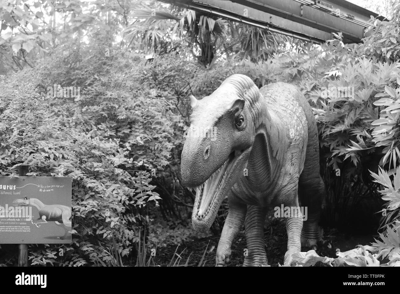 Prédateurs redoutables d'une première mondiale au Zoo de Chester Banque D'Images