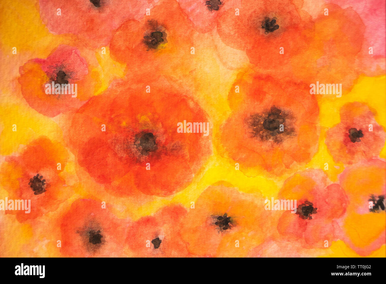 Motif de fleurs Aquarelle transparente en rouge, orange et jaune. Glade fleur de pavot, l'abstraction dessin pinceau Banque D'Images