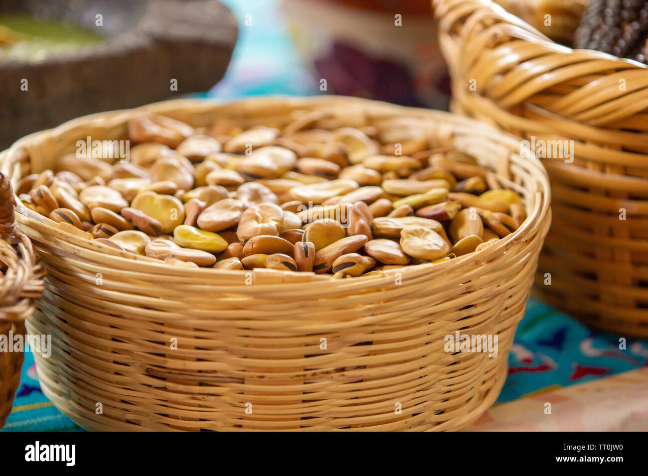 Un mexicain fait main panier avec des fèves, les ingrédients de base de l'alimentation mexicaine Banque D'Images