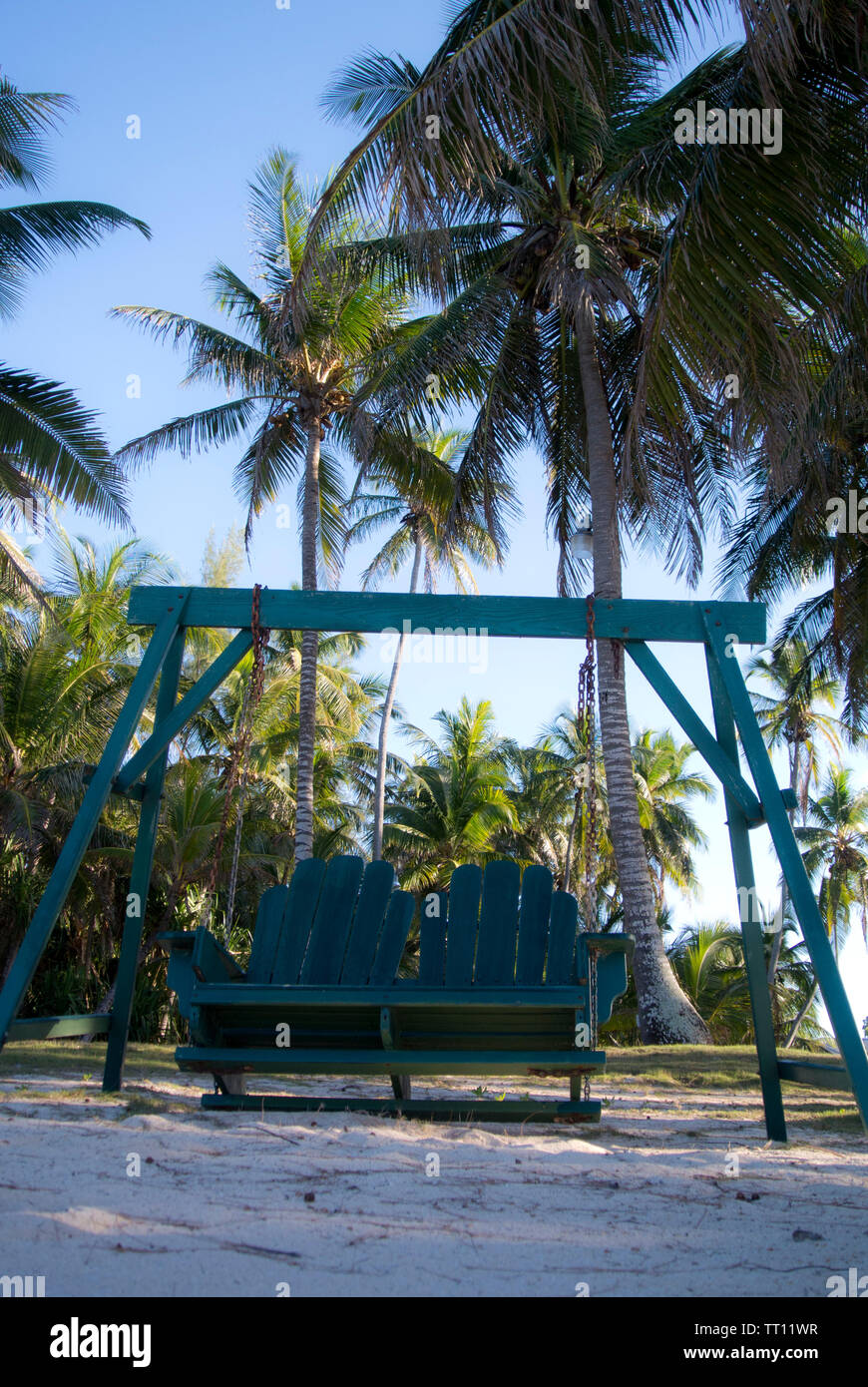 Double siège Swing dans le jardin Banque D'Images