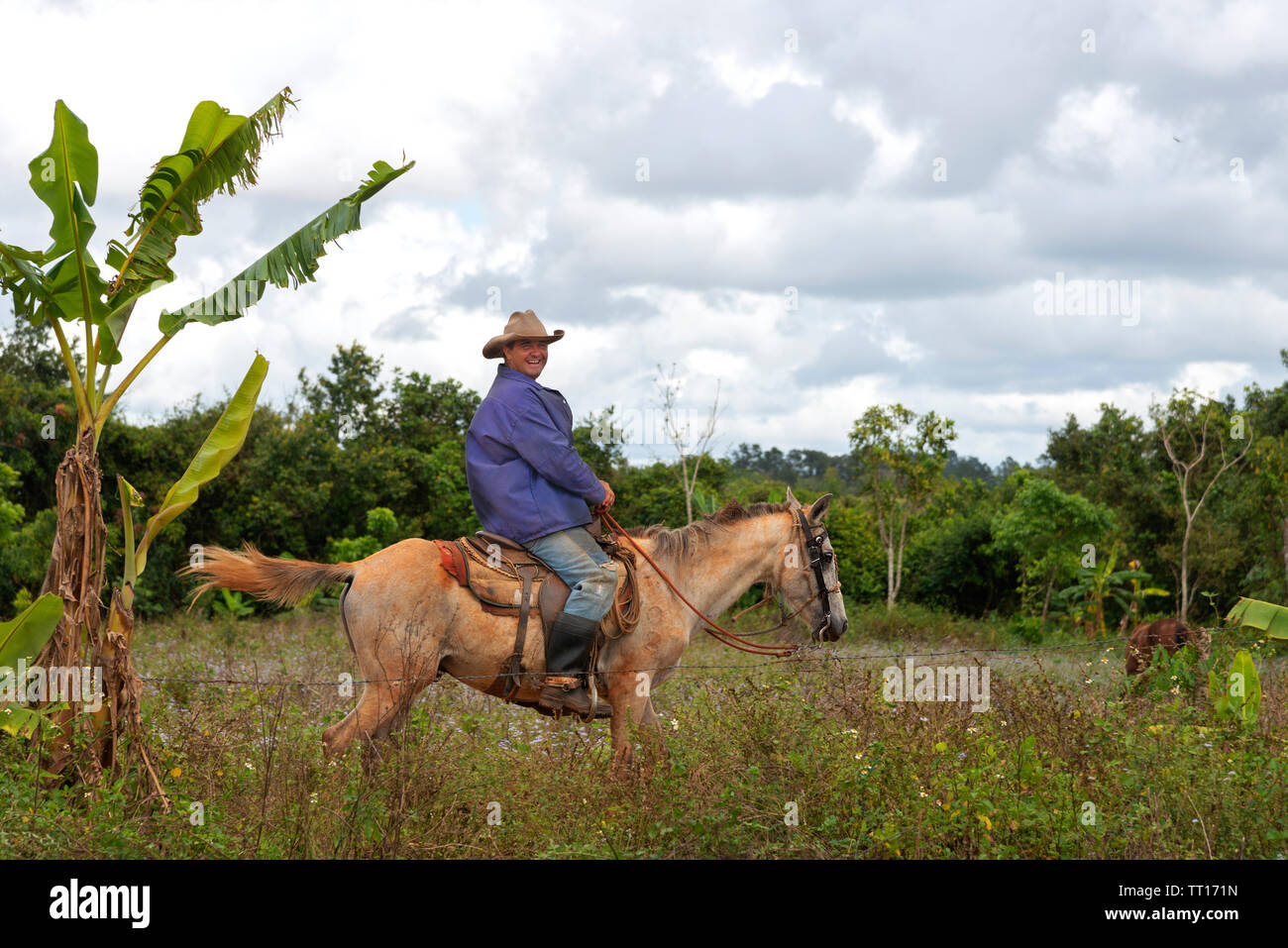 Agriculteur prend une soirée ride tour son domaine dans la vallée de Vinales, Cuba, Caraïbes, Vinales Banque D'Images