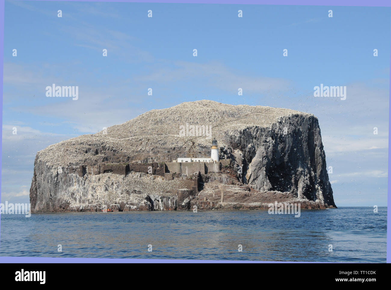 Le Bass Rock, une roche volcanique recto verso du quai de l'Est du continent écossais sur la partie extérieure de l'estuaire de la Forth. Banque D'Images