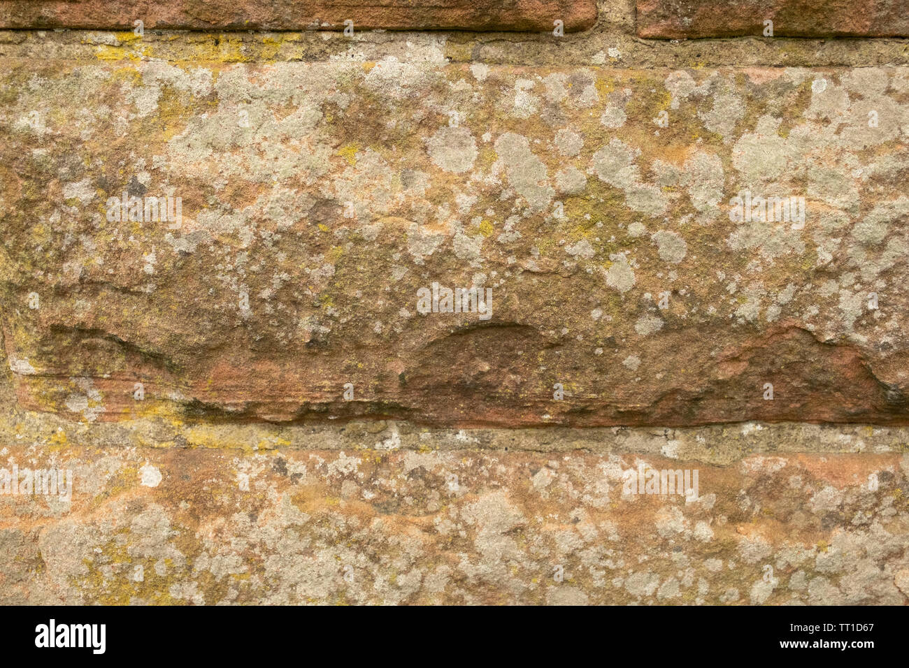 Close up of mur de pierre avec le lichen, Édimbourg, Écosse, Royaume-Uni Banque D'Images