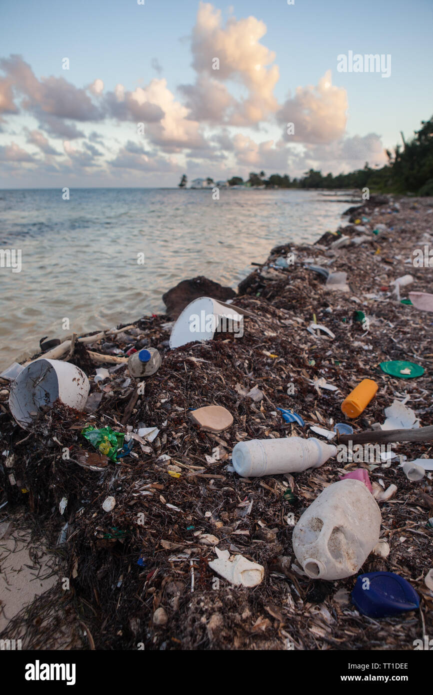 Les déchets plastiques s'est échoué sur une plage éloignée de la mer des Caraïbes au large de la côte du Belize. Cette région fait partie de la Barrière de Corail mésoaméricaine. Banque D'Images