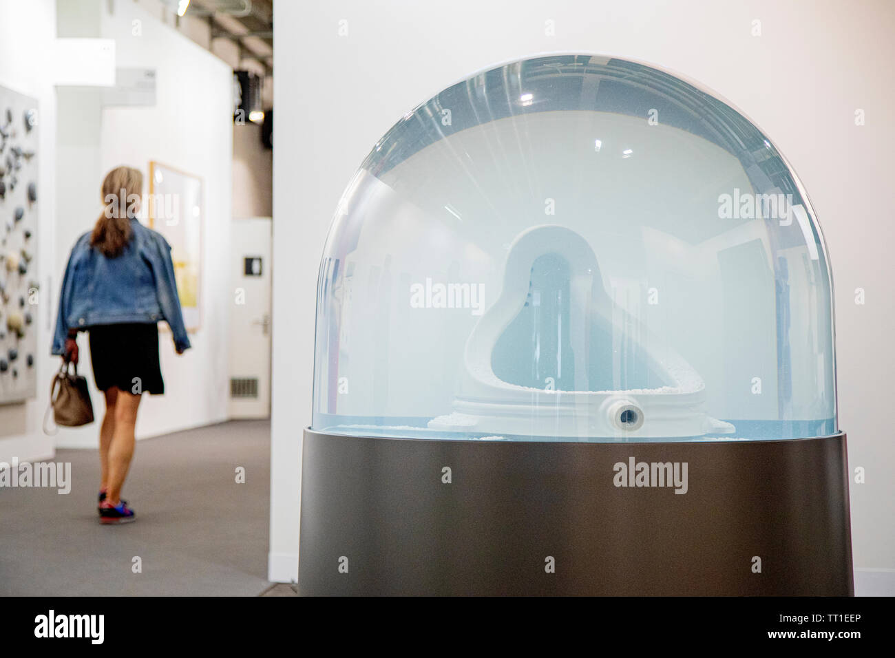 En référence à Marcel Duchamp, un pissoir a été placé à l'intérieur d'un globe de neige géant dans l'installation 'Reason (ou hiver) par l'artiste Berthan Huws, présenté par Gallerie Tschudi à la 49e foire artistique annuelle Art Basel à Bâle. Banque D'Images