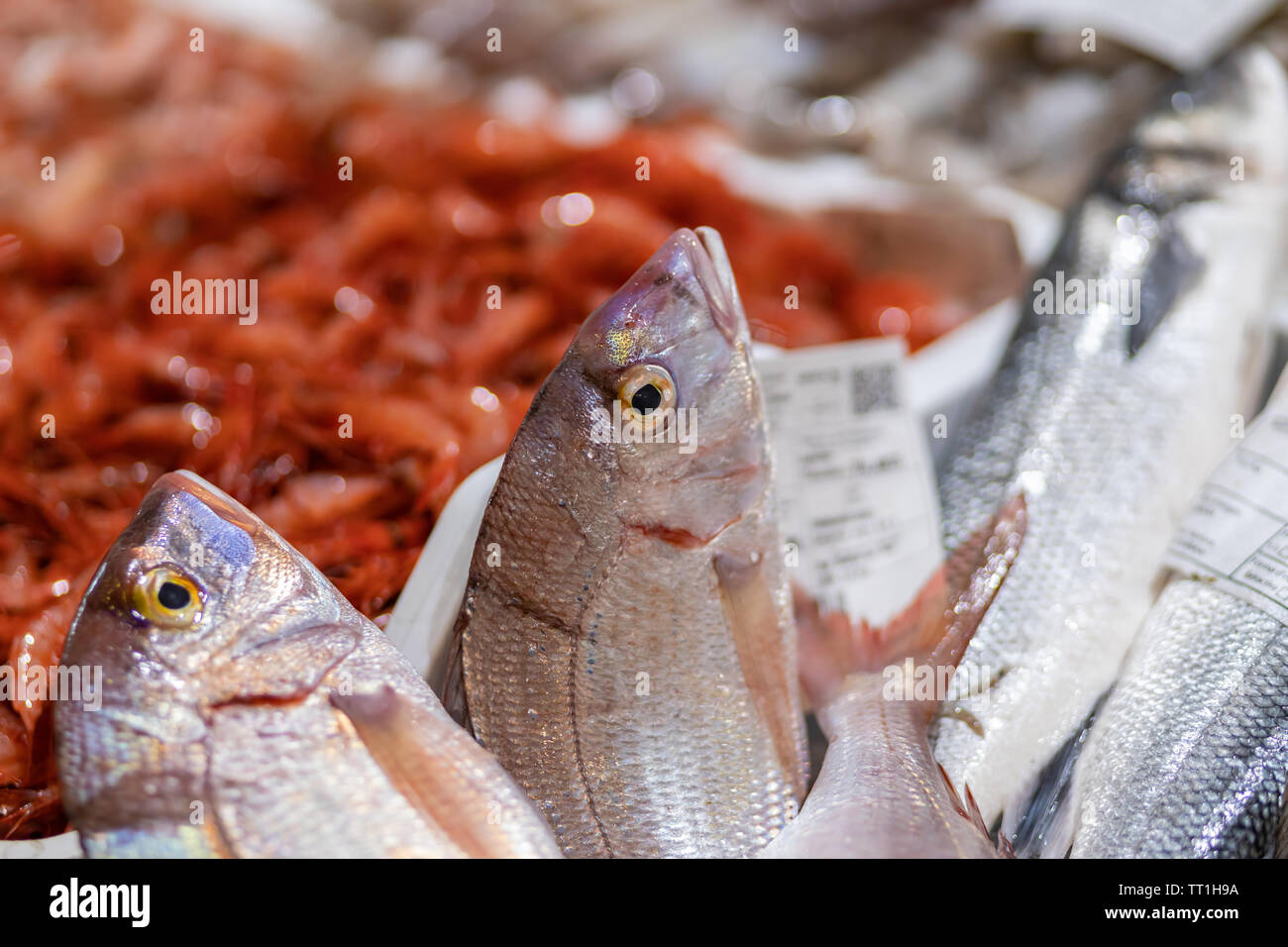 Poissons dans un marché en Costa Brava en Espagne Banque D'Images