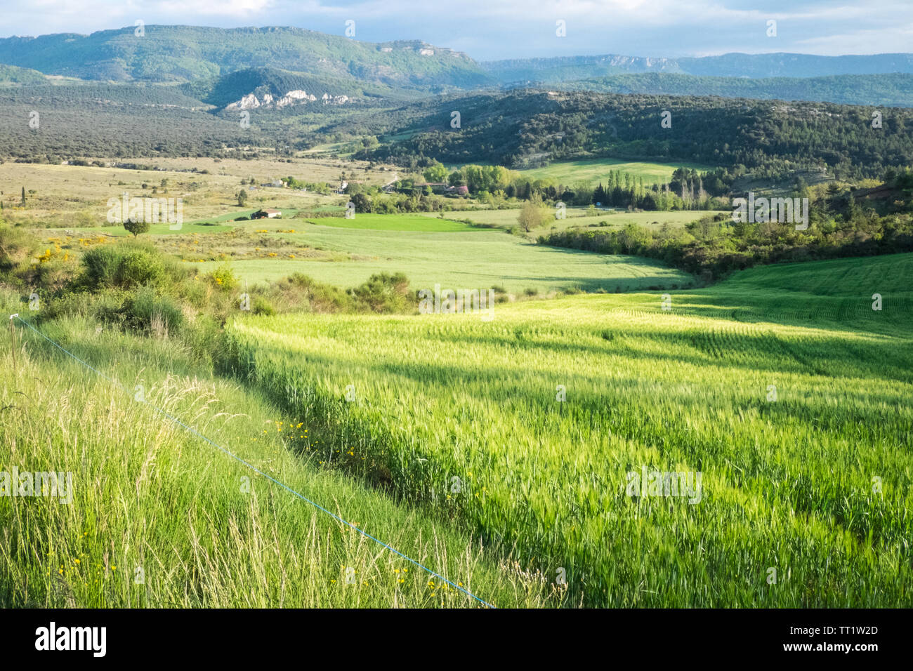 Campagne,voir,de,agriculture,de,champs Rennes-le-Chateau,Aude,province,,préfecture district,sud,de,France,Sud France,Occitanie,français, Banque D'Images