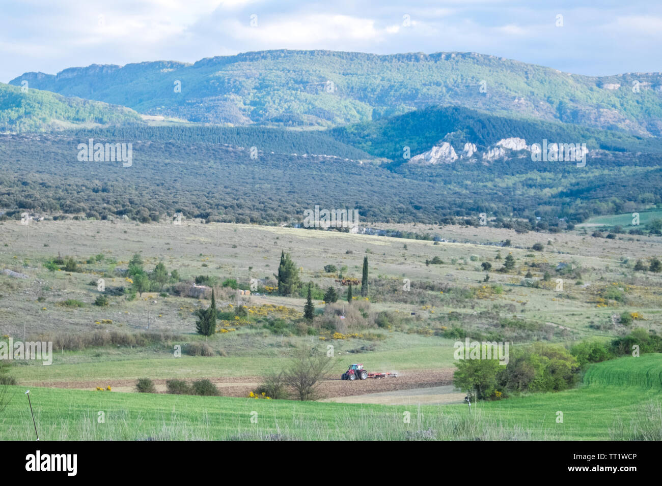 Campagne,voir,de,agriculture,de,champs Rennes-le-Chateau,Aude,province,,préfecture district,sud,de,France,Sud France,Occitanie,français, Banque D'Images
