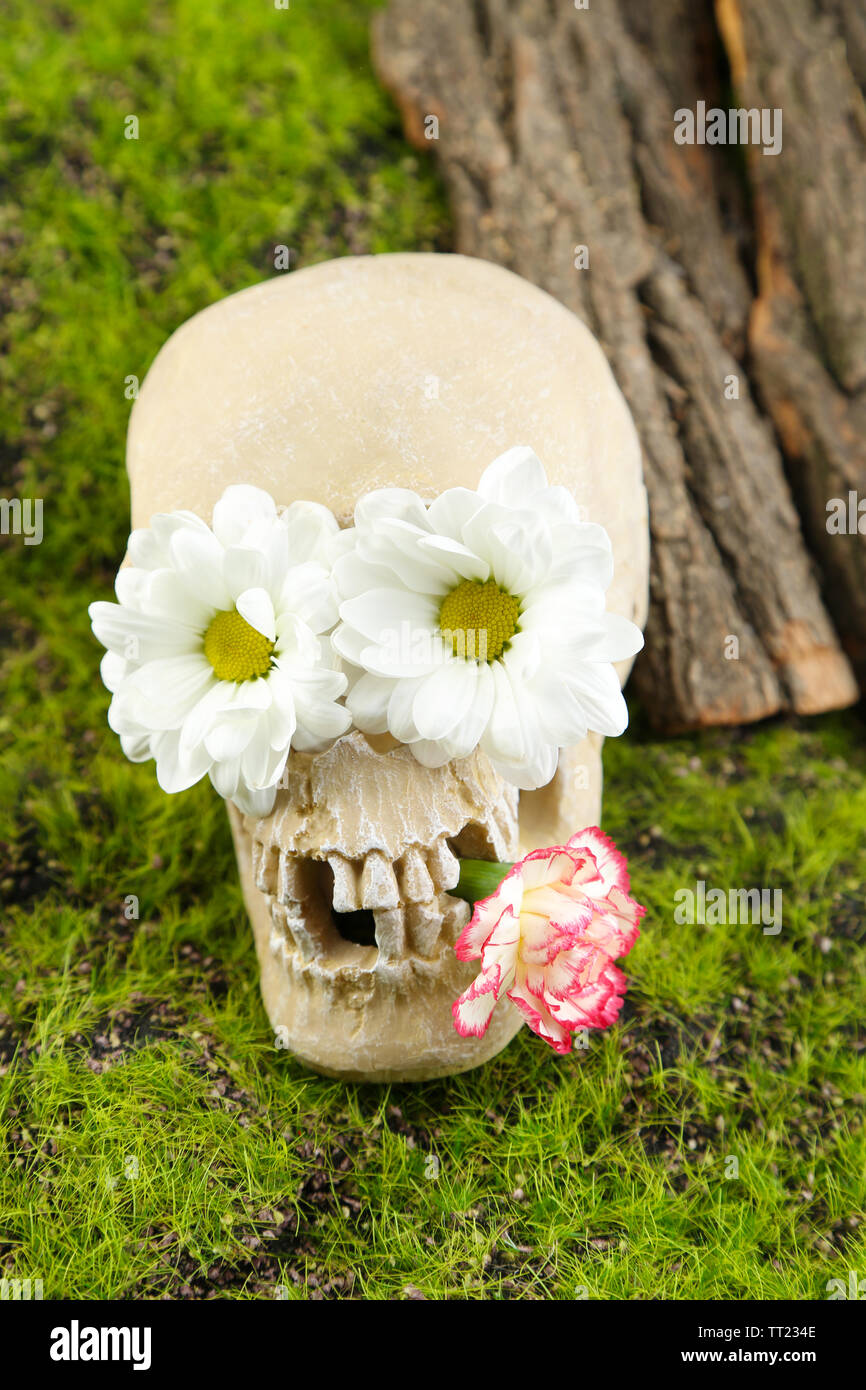 Crâne avec des fleurs sur fond d'herbe verte Banque D'Images