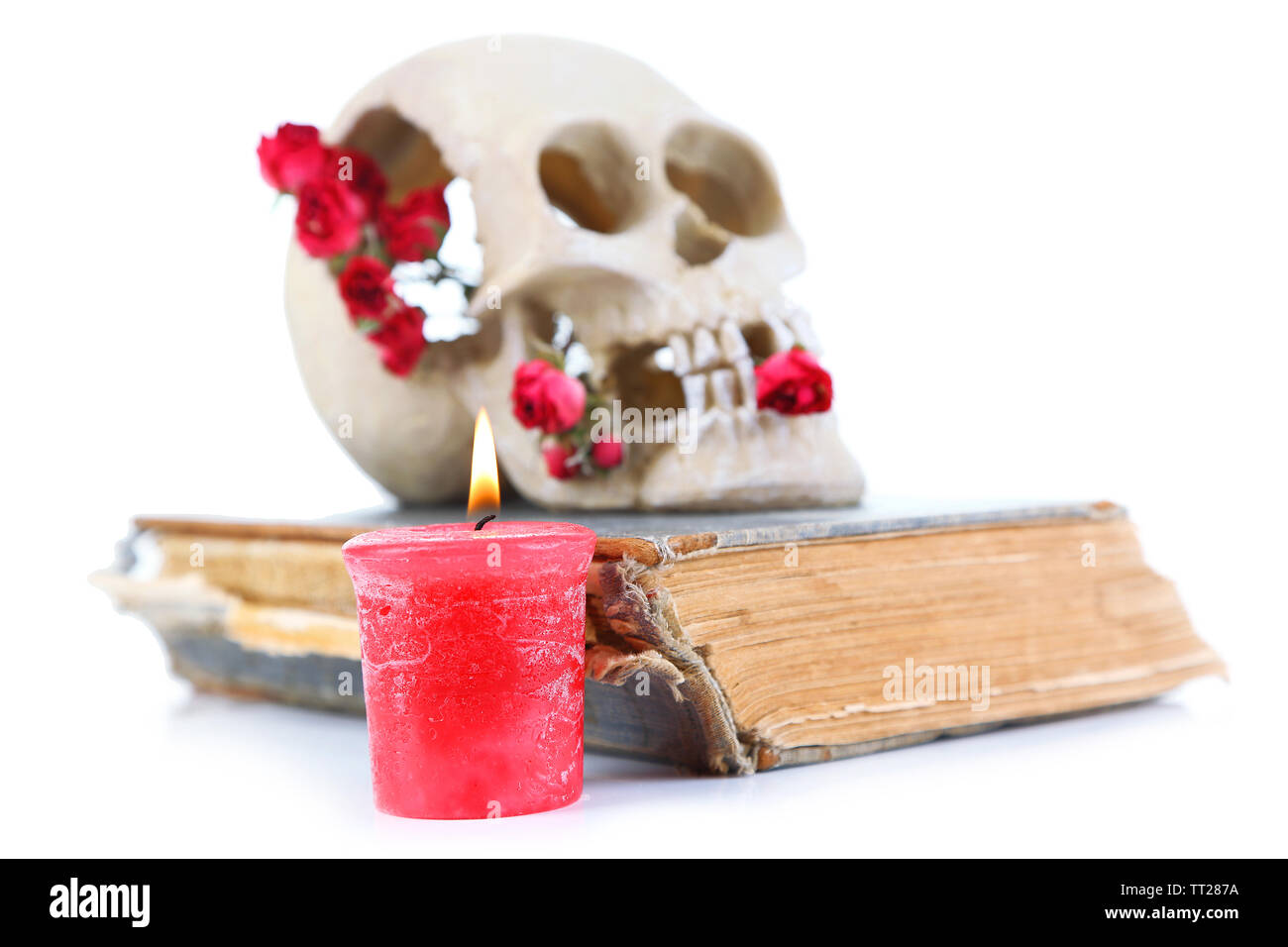 Crâne avec rose séchée sur old book and candle isolated on white Banque D'Images