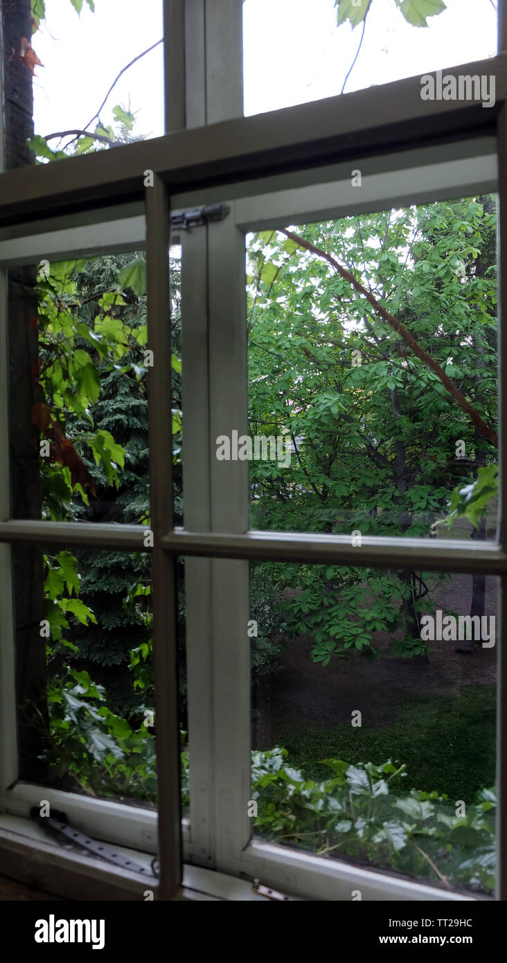 Une fenêtre en verre, avec des panneaux et des balustrades en métal blanc, regardant dans la verdure à l'extérieur. Banque D'Images