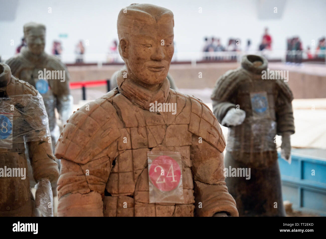 Terra-Cotta Warrior Fermer jusqu'à la reconstruction, Xian, Shaanxi, Chine Banque D'Images