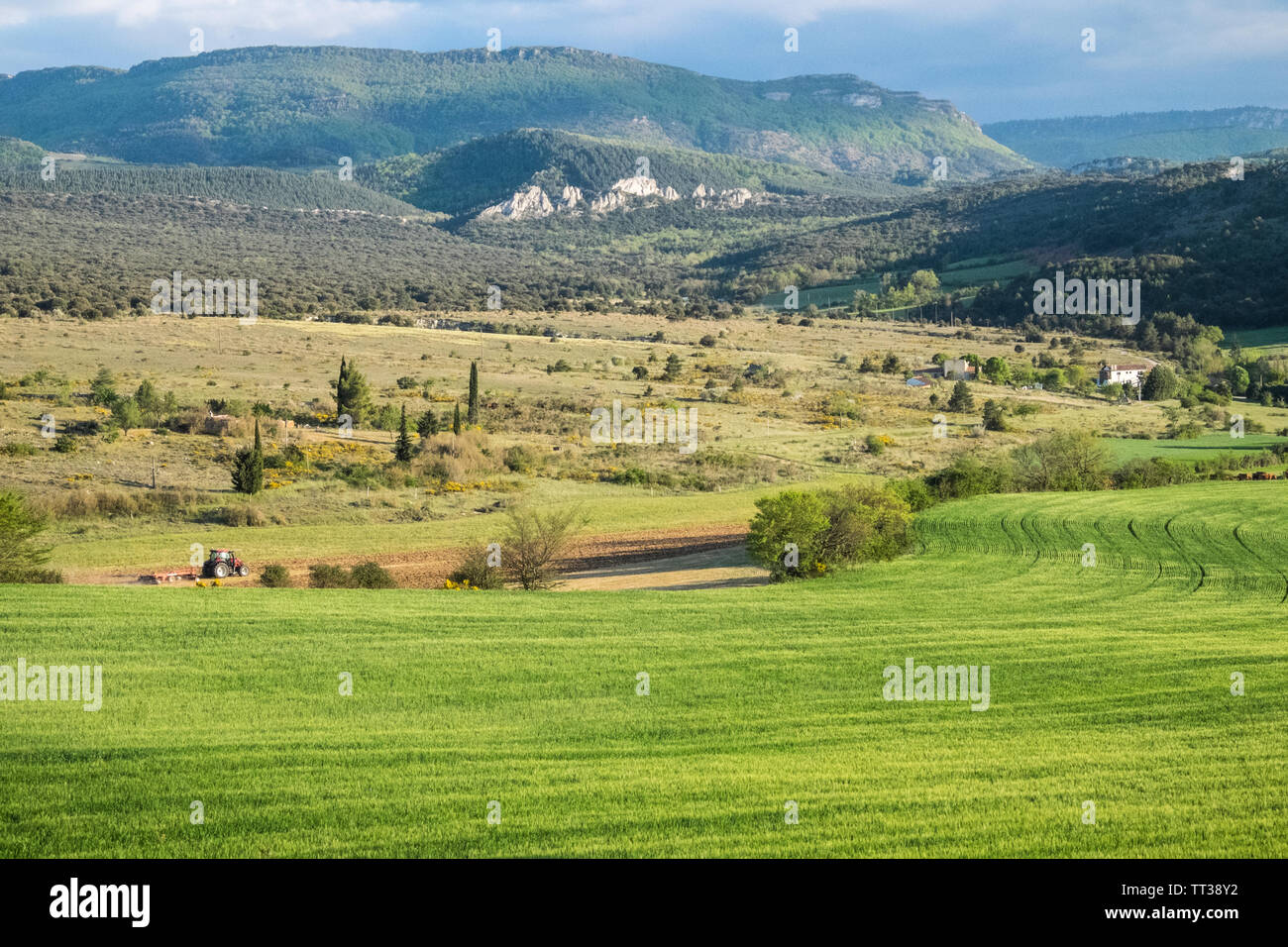 Campagne,voir,de,agriculture,de,champs Rennes-le-Chateau,Aude,province,,préfecture district,sud,de,France,Sud France,Occitanie,français, Banque D'Images