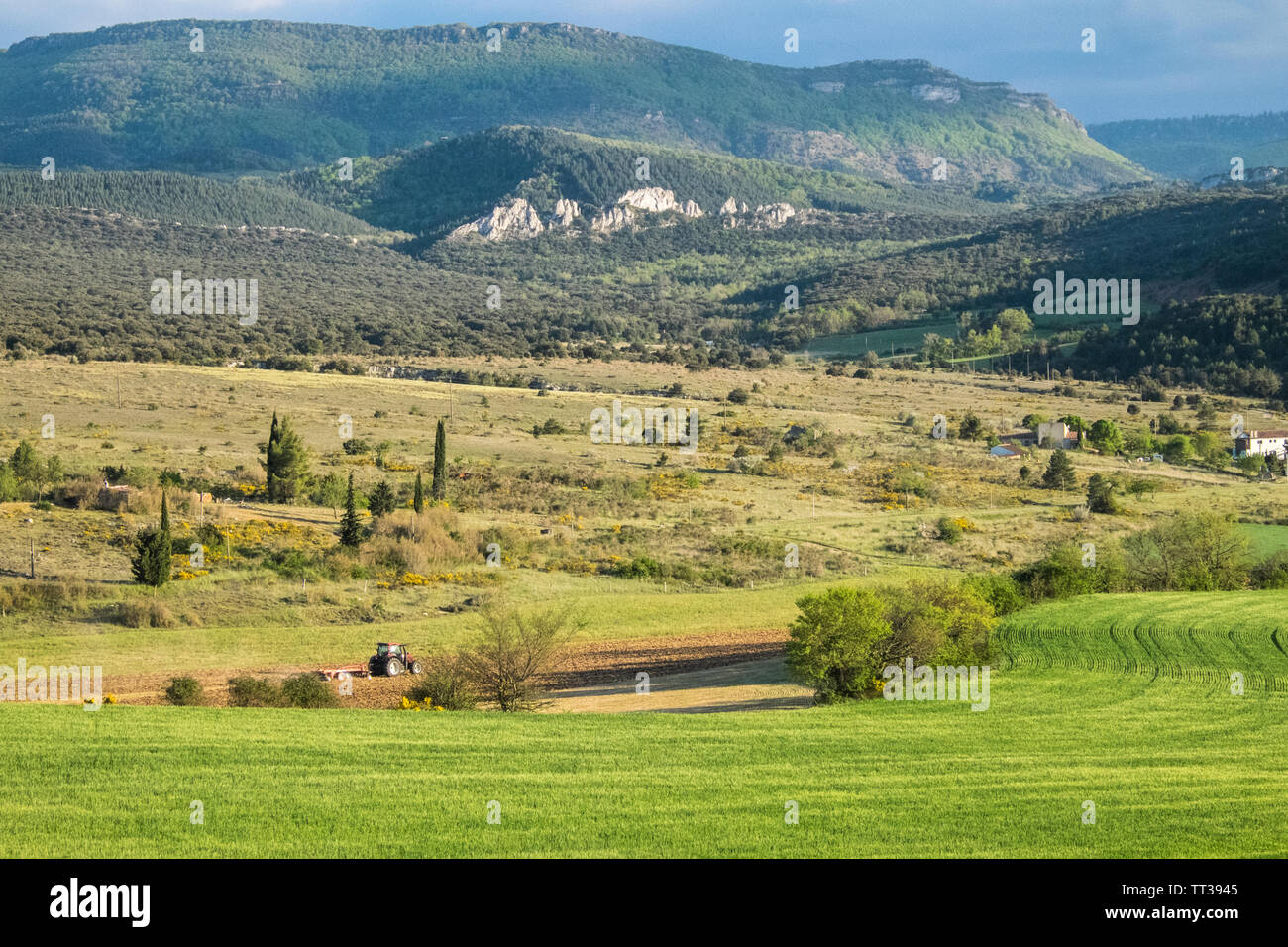Campagne,voir,de,agriculture,de,champs Rennes-le-Chateau,Aude,province,,préfecture district,sud,de,France,Sud France,Occitanie,français, Banque D'Images