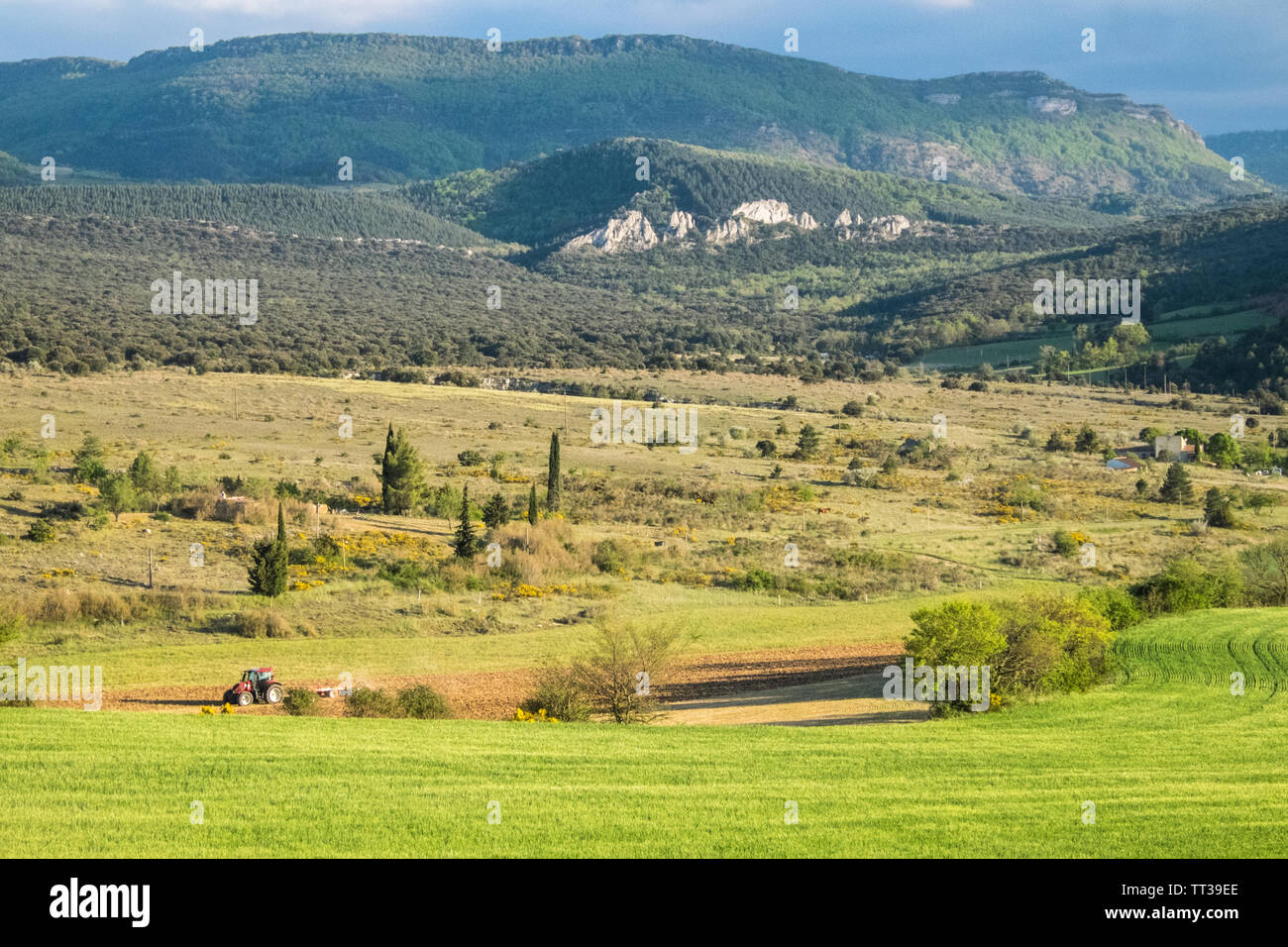 Campagne,voir,de,agriculture,de,champs Rennes-le-Chateau,Aude,province,,préfecture district,sud,de,France,Sud France,Occitanie,français, Banque D'Images