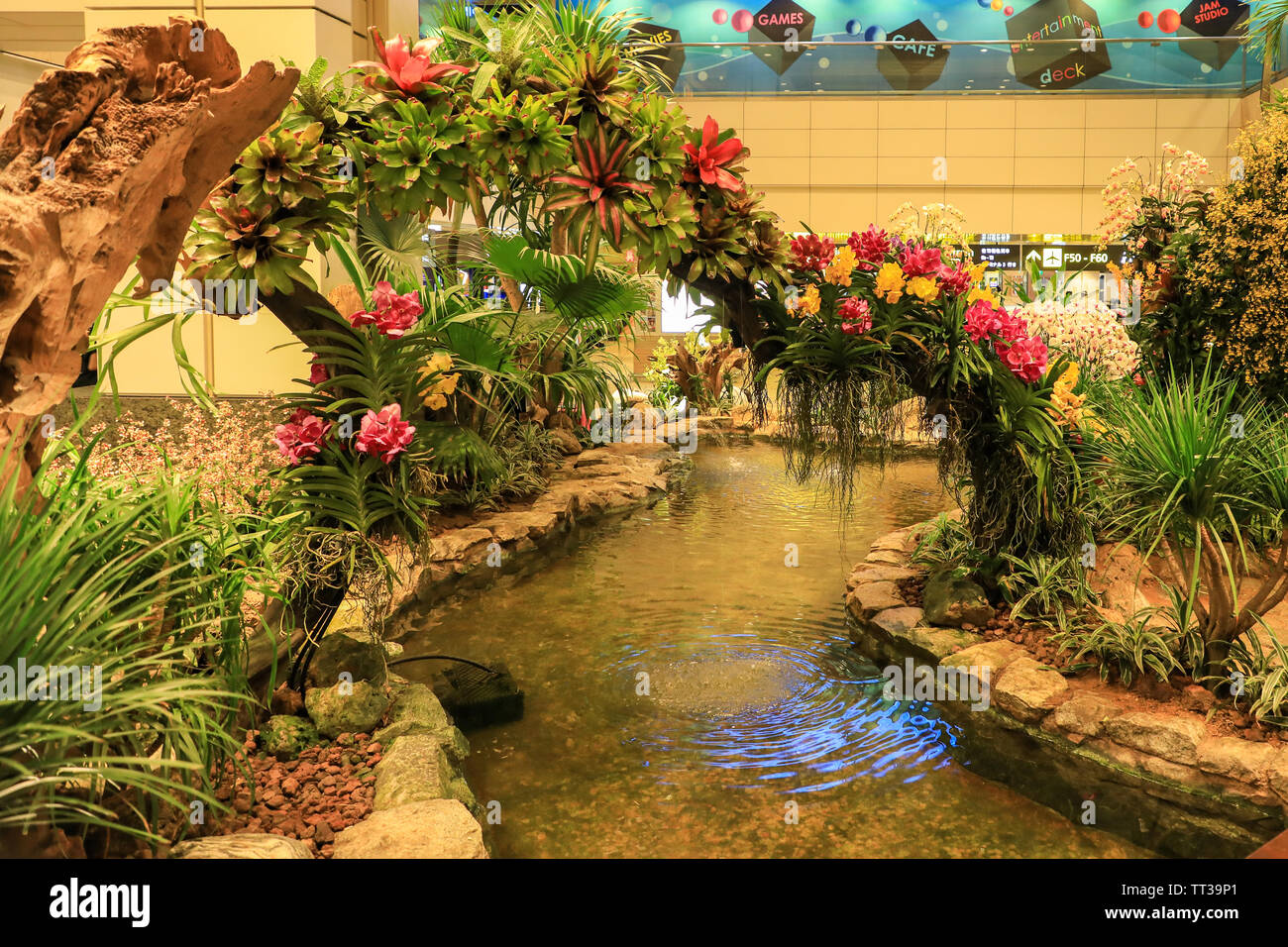 La salle d'embarquement et l'aménagement paysager des jardins à l'intérieur de l'aéroport International Changi de Singapour, Singapour, en Asie du sud-est Banque D'Images