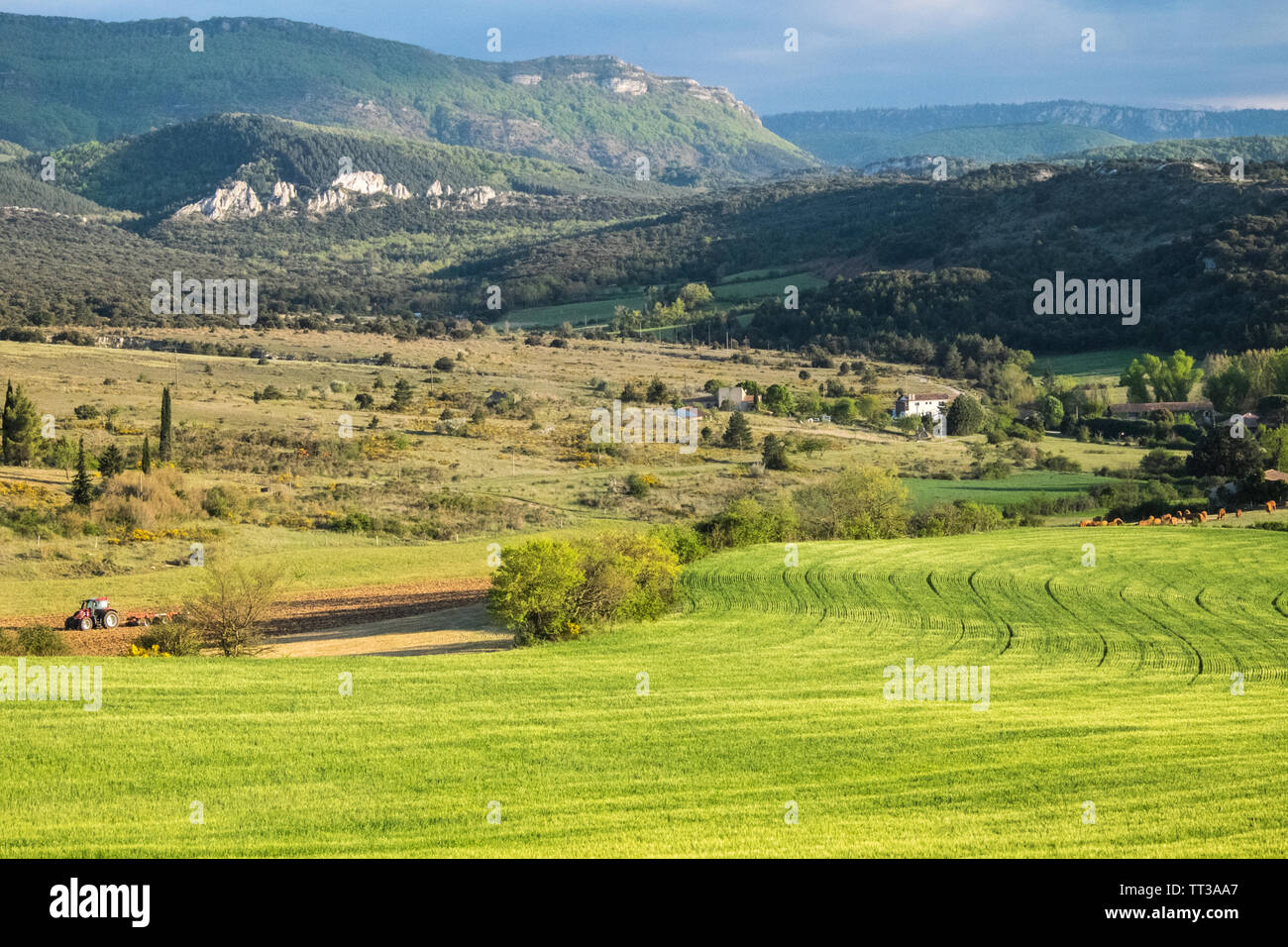 Campagne,voir,de,agriculture,de,champs Rennes-le-Chateau,Aude,province,,préfecture district,sud,de,France,Sud France,Occitanie,français, Banque D'Images