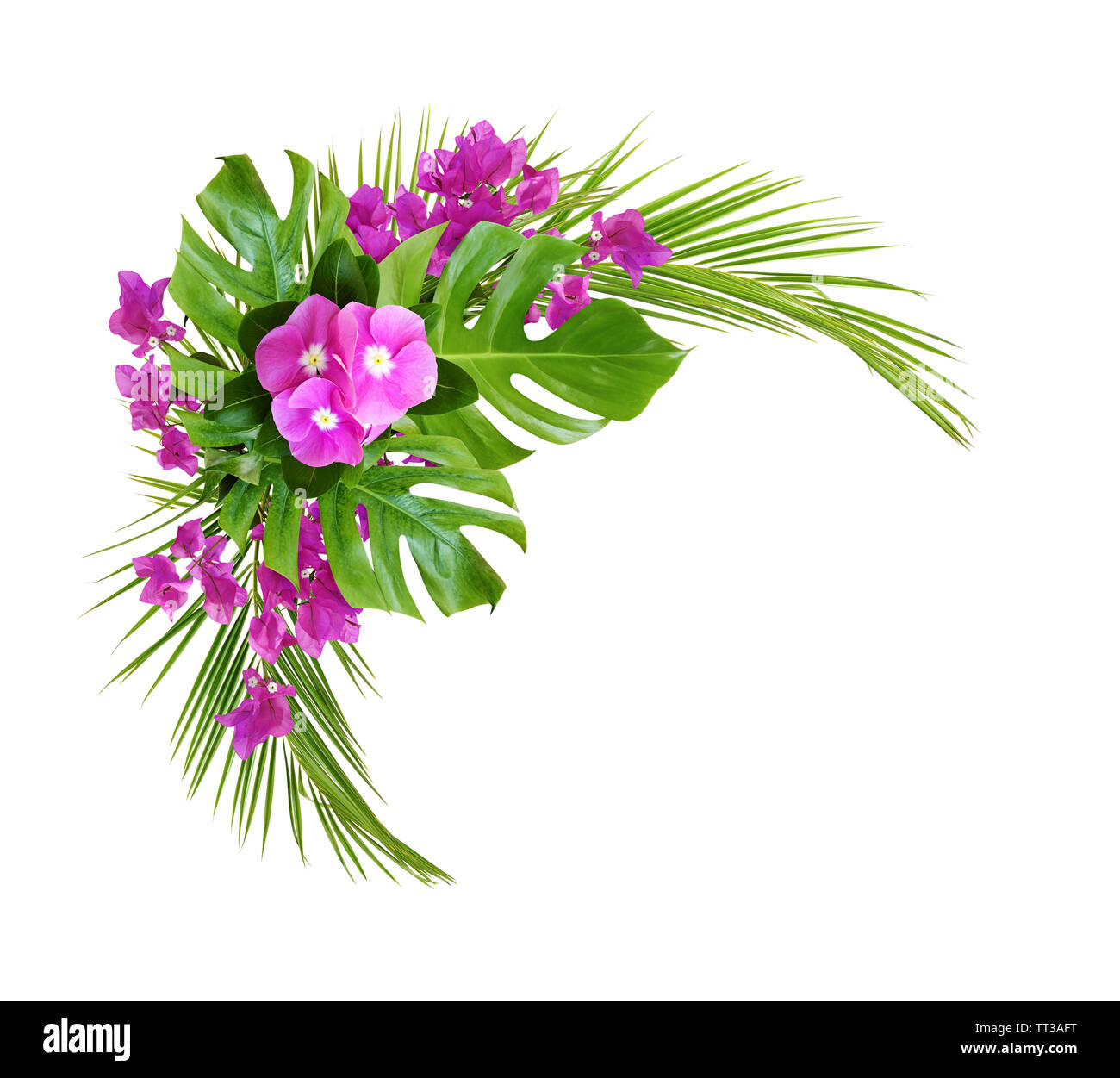 Catharanthus fleurs et feuilles de palmier avec bougainvilliers tropicaux en coin arrangement isolated on white. Vue d'en haut. Mise à plat. Banque D'Images