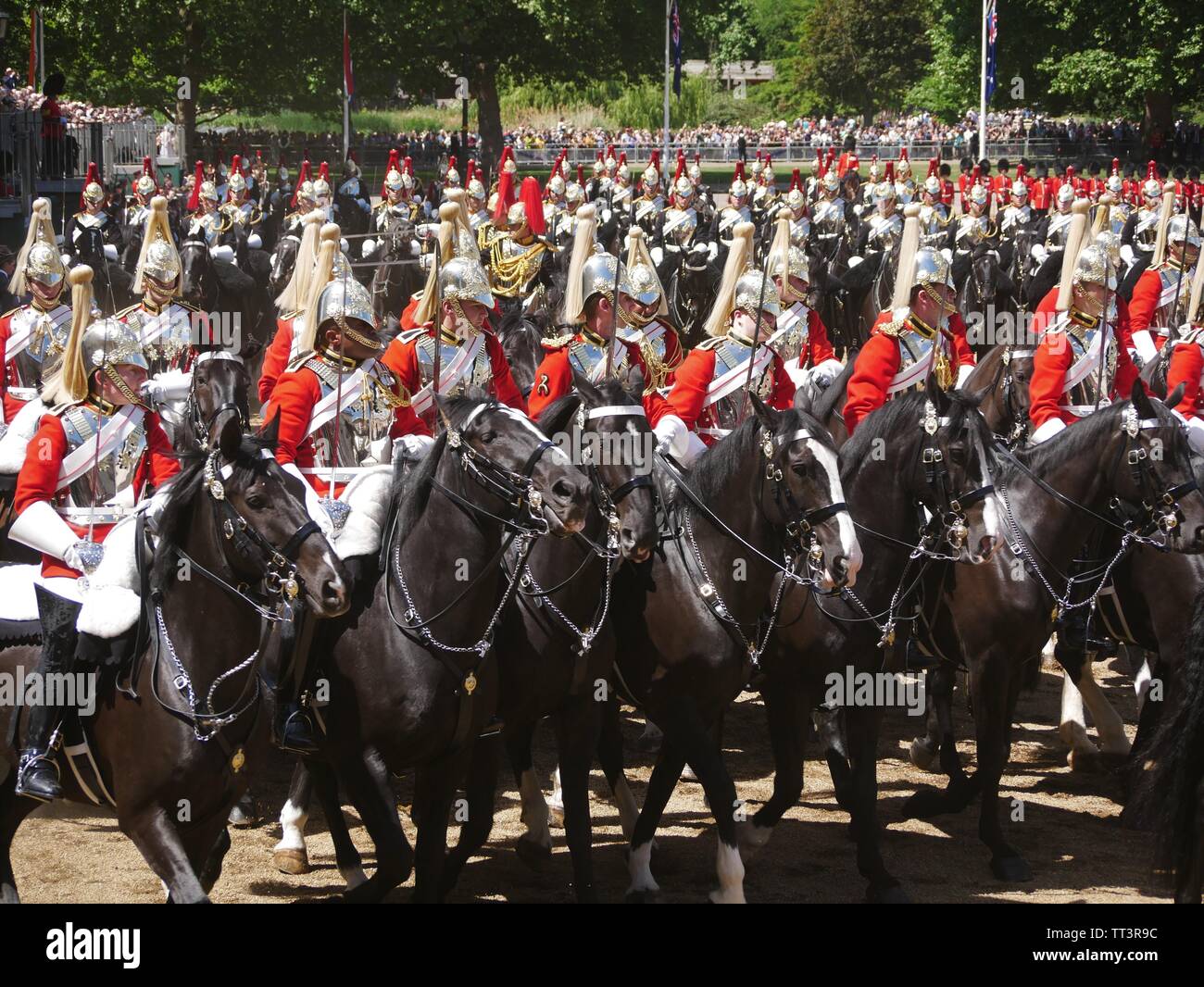 Parade la couleur 2019, Horse Guards Parade, Londres, Angleterre Banque D'Images