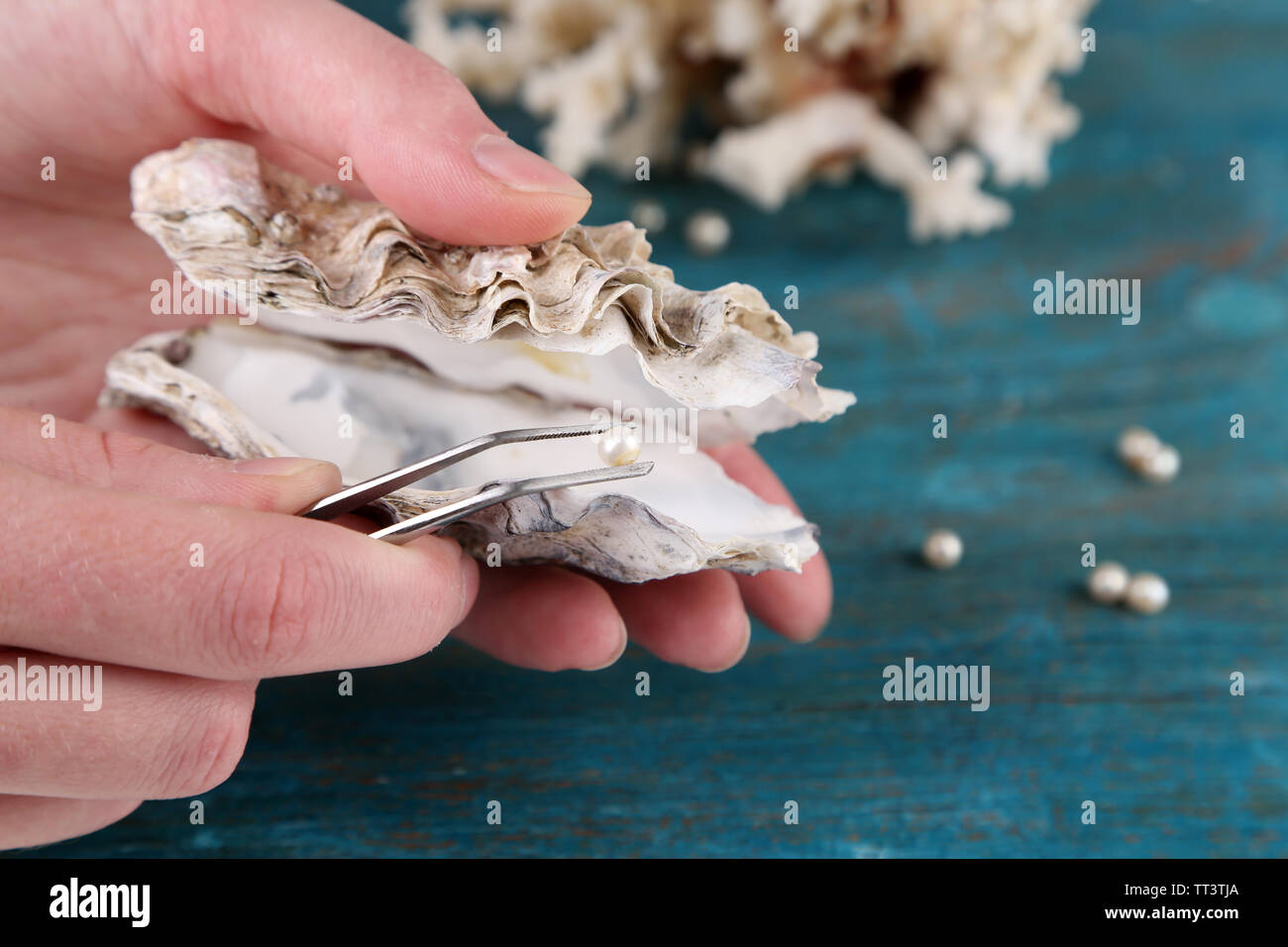 La main avec une pincette holding pearl oyster et sur fond de bois Banque D'Images