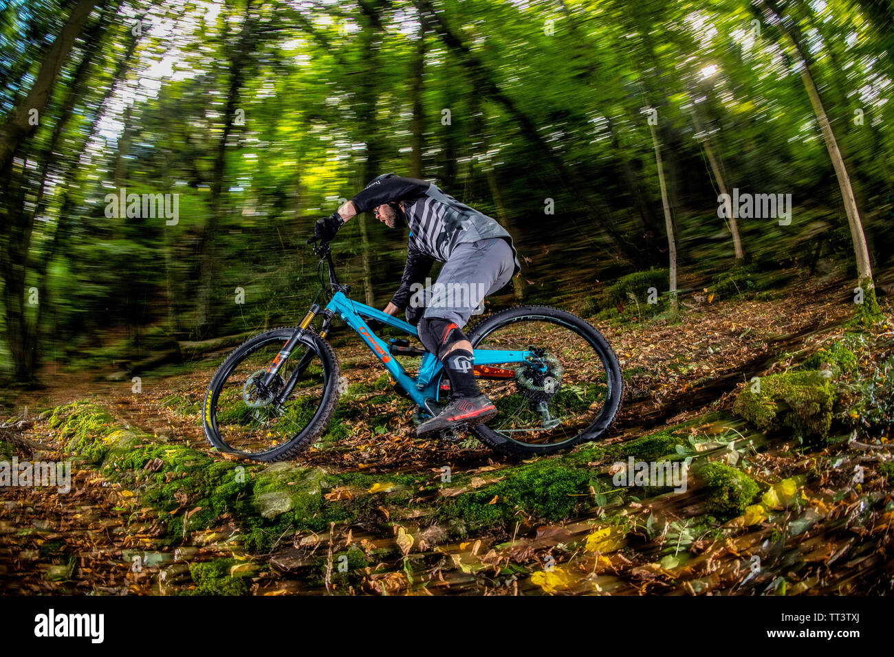 Un homme monte un VTT à la vitesse sur un sentier entre forêt près de la ville de Bristol dans le sud-ouest de l'Angleterre. Banque D'Images