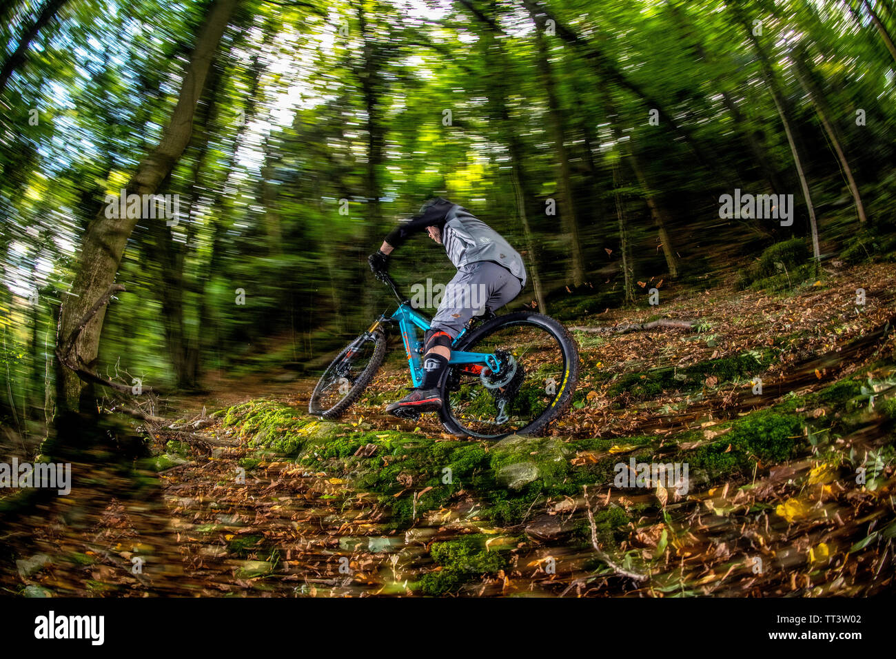 Un homme monte un VTT à la vitesse sur un sentier entre forêt près de la ville de Bristol dans le sud-ouest de l'Angleterre. Banque D'Images