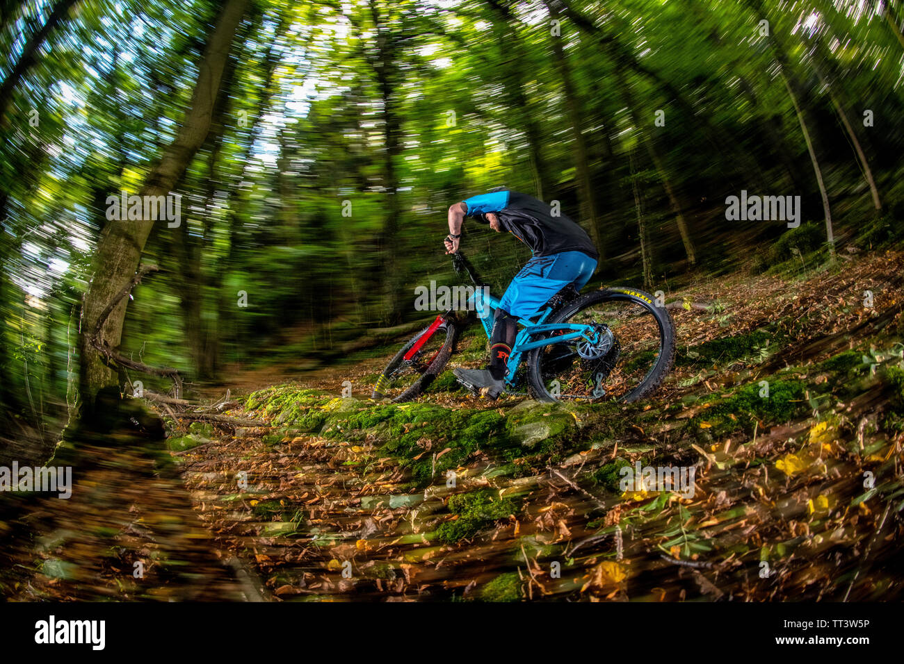 Un homme monte un VTT à la vitesse sur un sentier entre forêt près de la ville de Bristol dans le sud-ouest de l'Angleterre. Banque D'Images