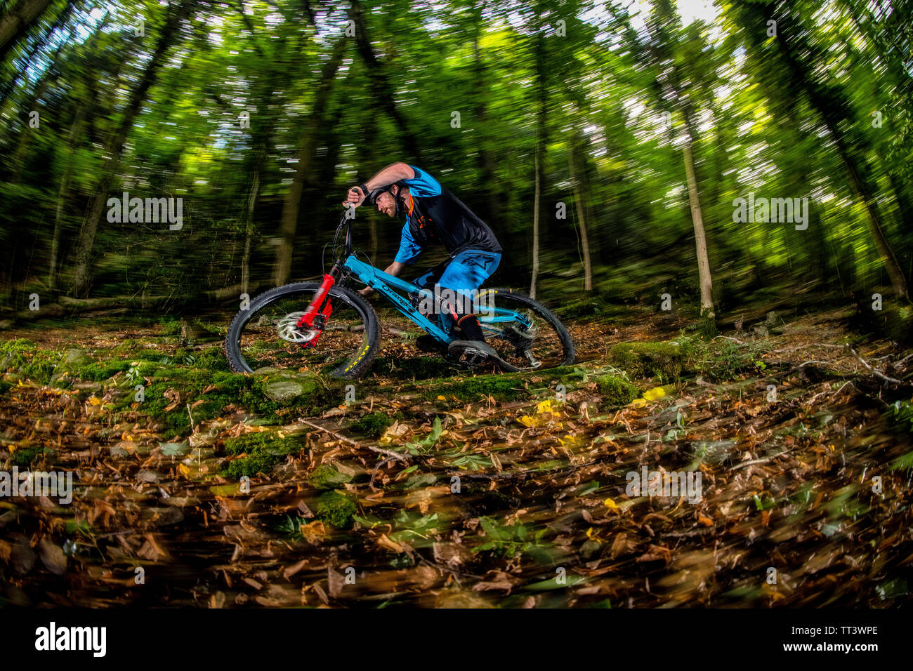 Un homme monte un VTT à la vitesse sur un sentier entre forêt près de la ville de Bristol dans le sud-ouest de l'Angleterre. Banque D'Images