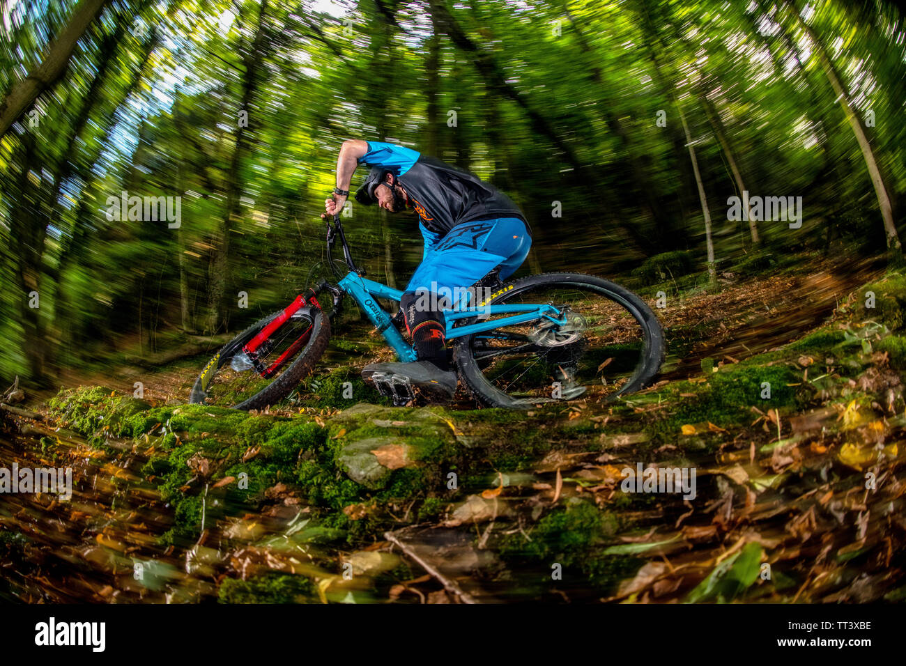 Un homme monte un VTT à la vitesse sur un sentier entre forêt près de la ville de Bristol dans le sud-ouest de l'Angleterre. Banque D'Images