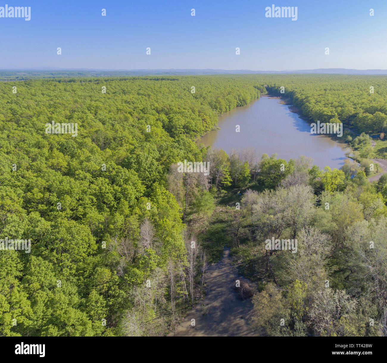 Drone photo. La vue aérienne du lac Vaseux et la forêt. Banque D'Images