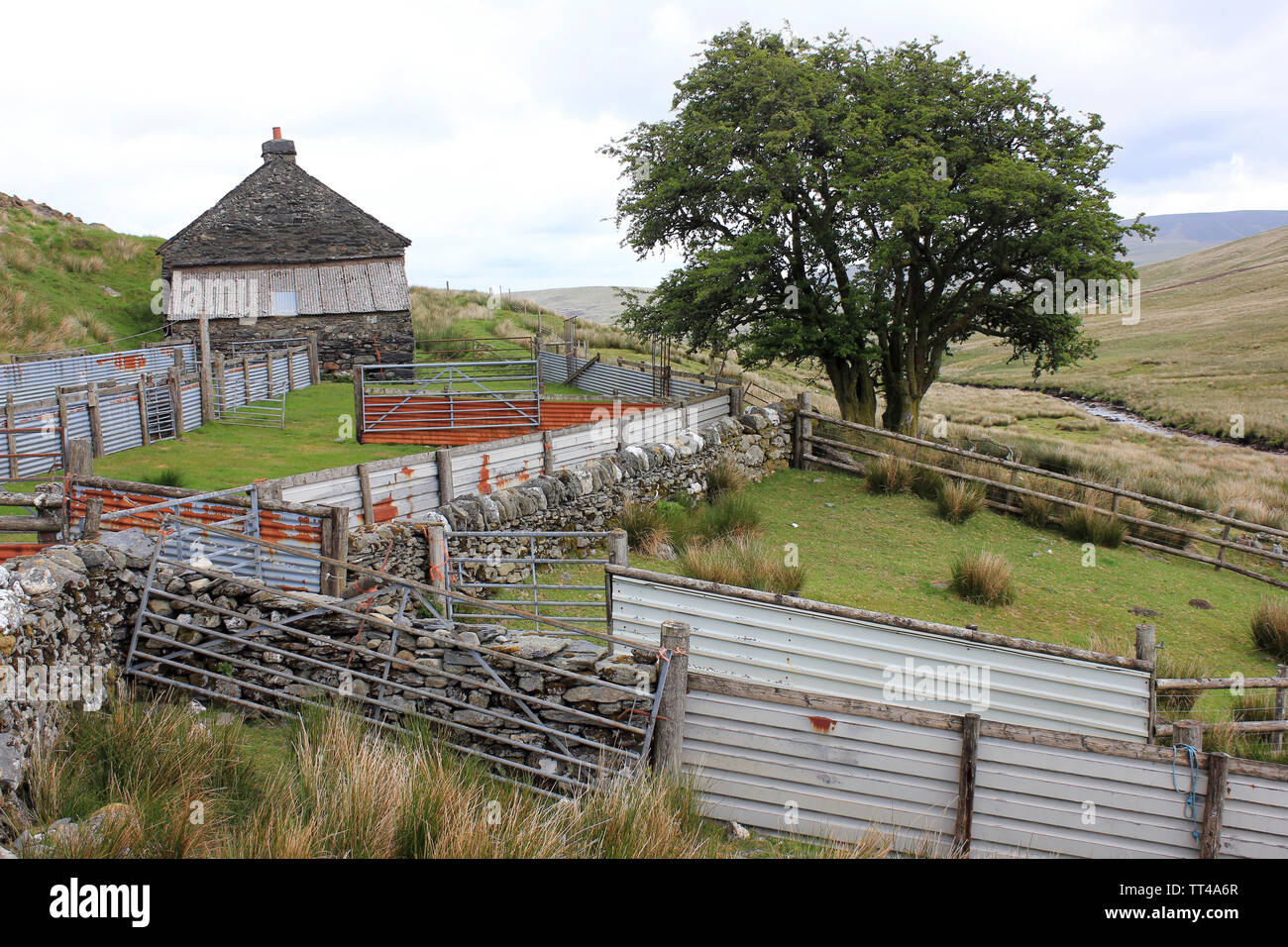 Ferme isolée avec Bergeries sur les Maures, Migneint nr Ysbyty Ifan, Snowdonia, au nord-ouest du pays de Galles Banque D'Images