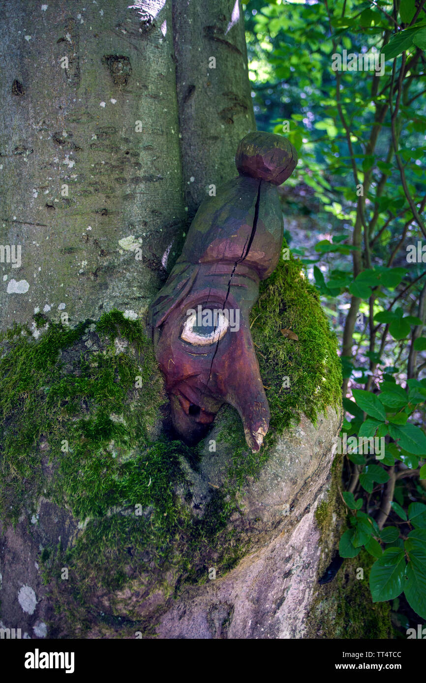 Visage sculpté dans un tronc d'arbre, forêt des fantômes trail (allemand : Waldgeisterweg), Oberotterbach, Route des Vins allemande, Rhénanie-Palatinat, Allemagne Banque D'Images