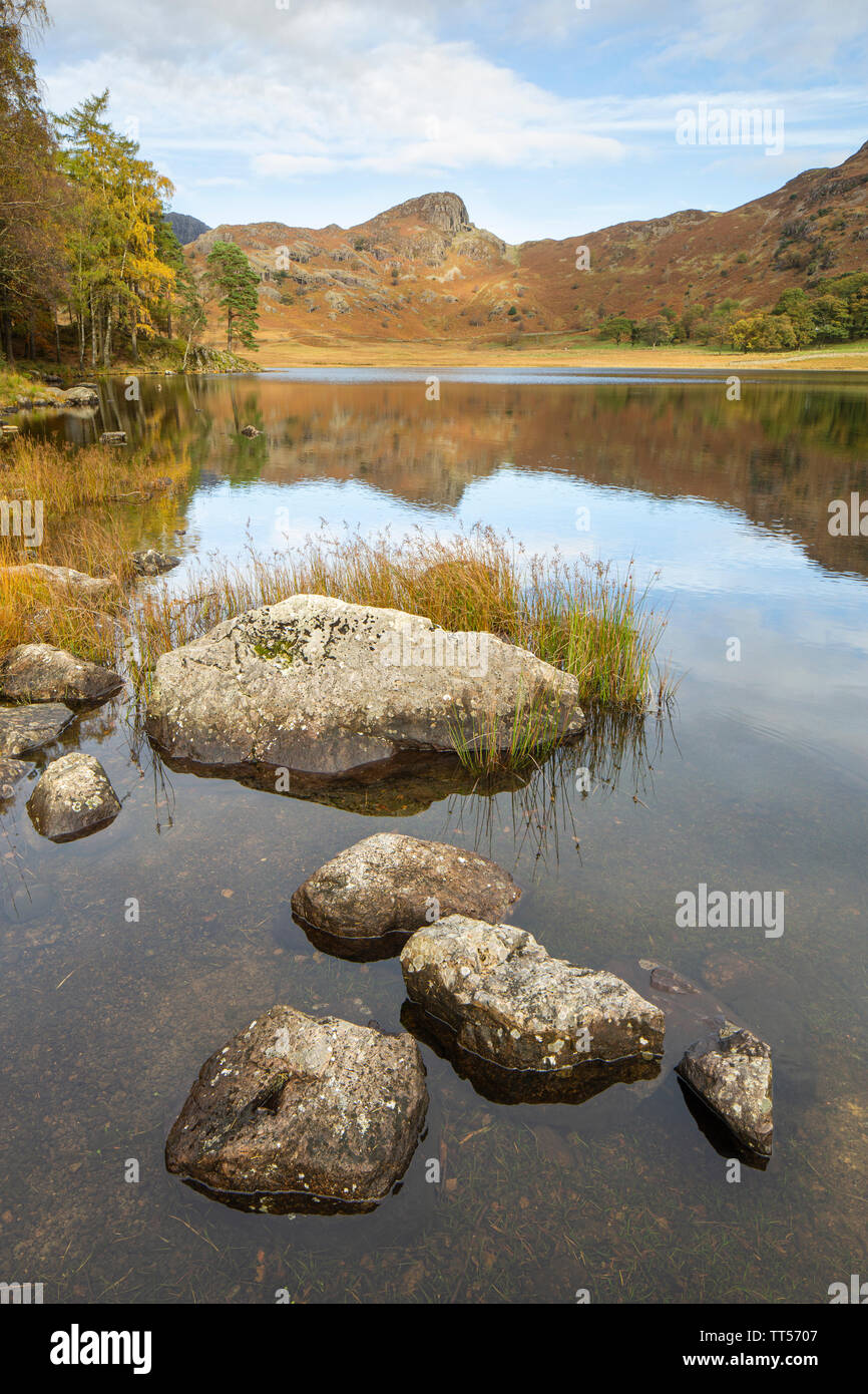 Détail de roches dans Blea Tarn dans le district du lac le long d'une journée d'automne. Banque D'Images
