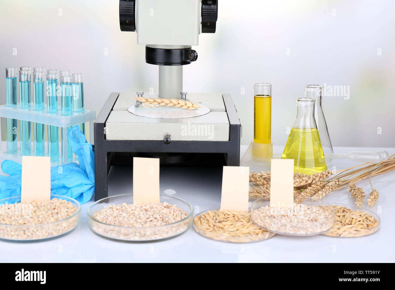 Les tests microbiologiques pour la qualité des aliments au laboratoire de biochimie Banque D'Images