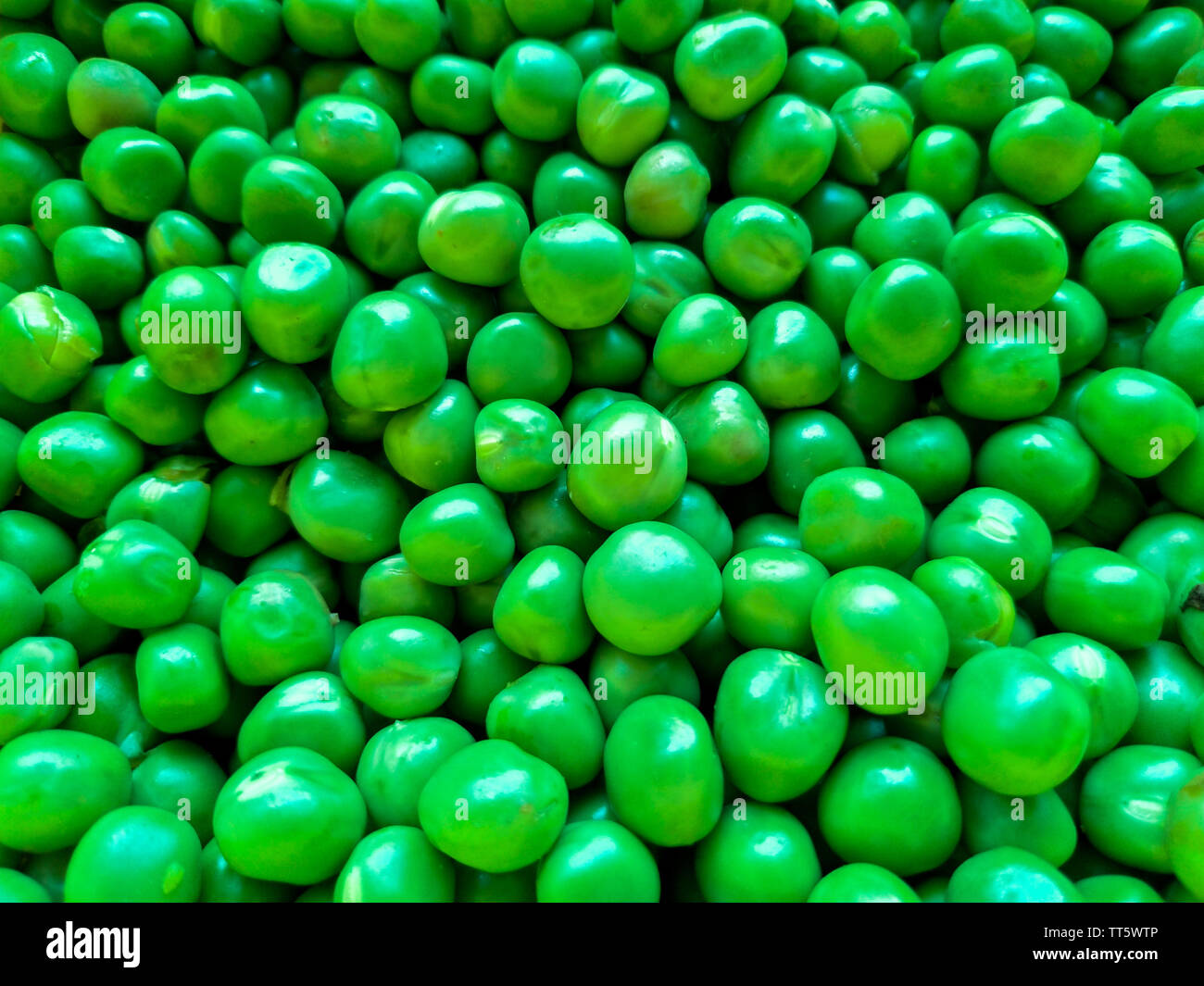 Petit haricot vert texture pattern close up Banque D'Images