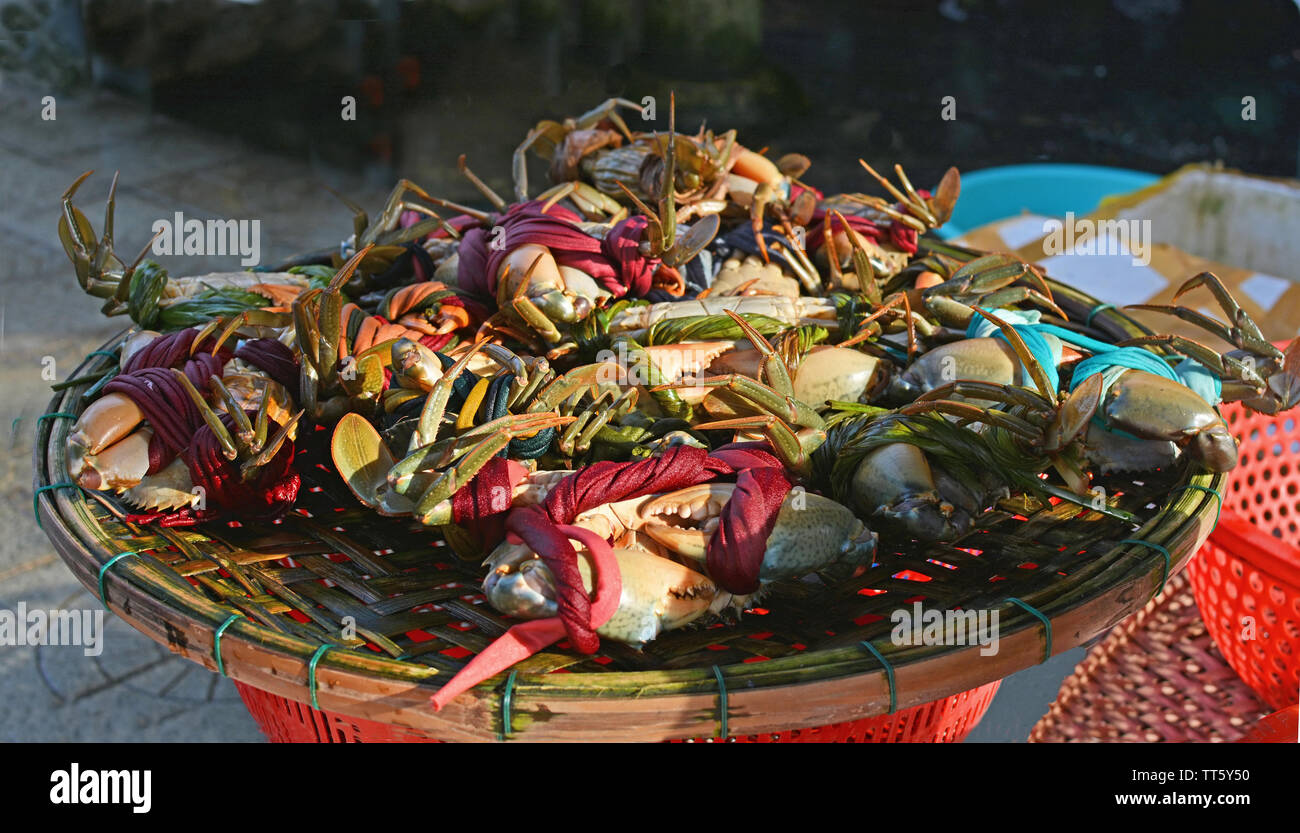 Panier de crabes frais, vivre à vendre à l'Hoi An Marché aux poissons. Banque D'Images
