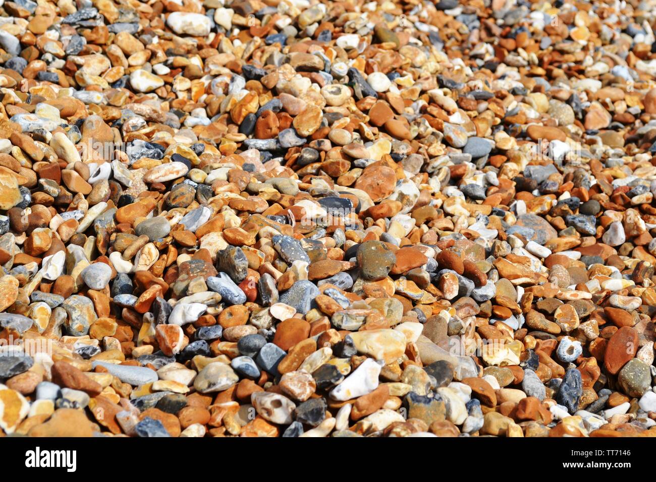 Grande plage de galets de pierres colorées ovale éclairées. Banque D'Images